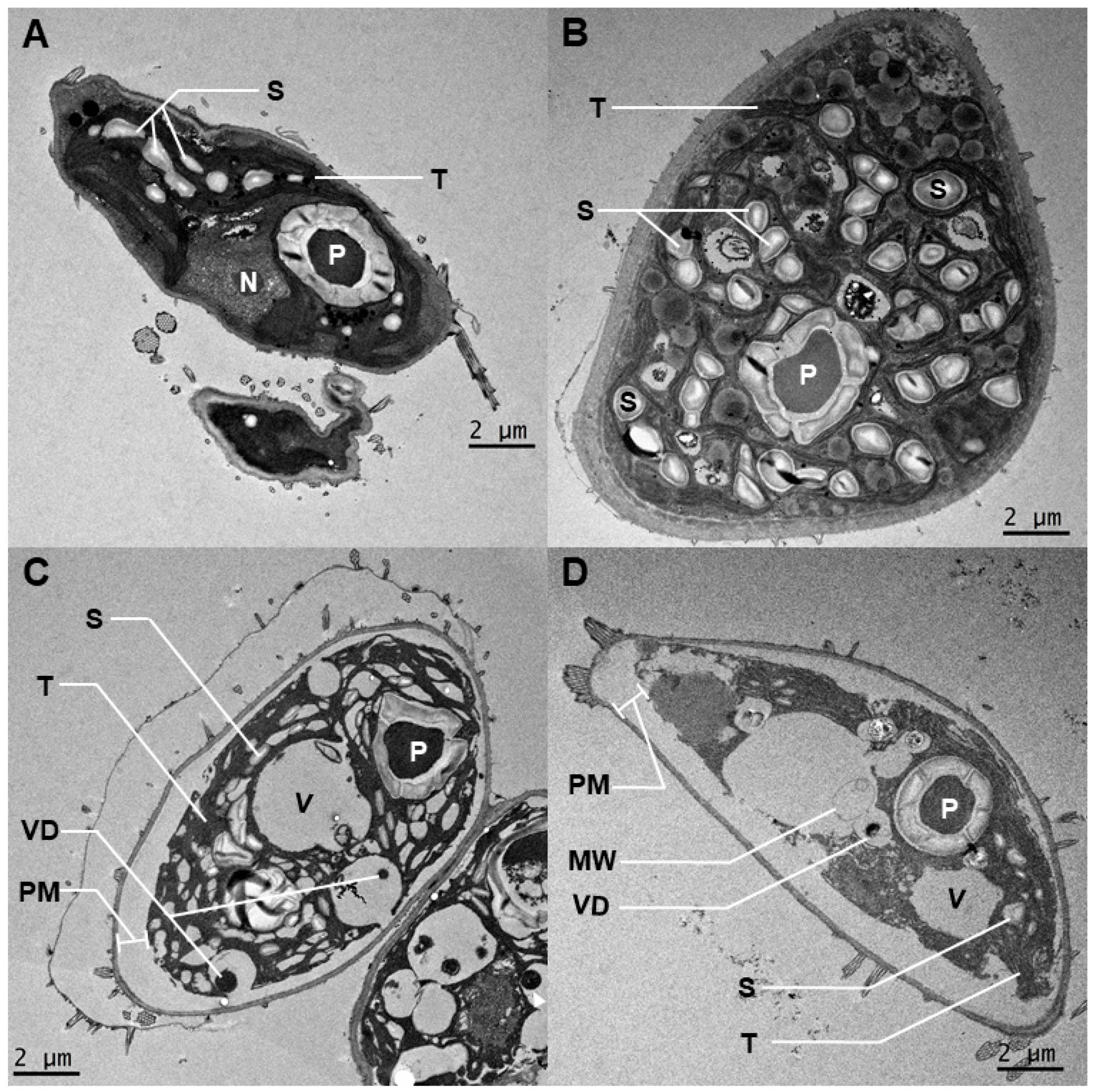 Metabolites 09 00084 g003