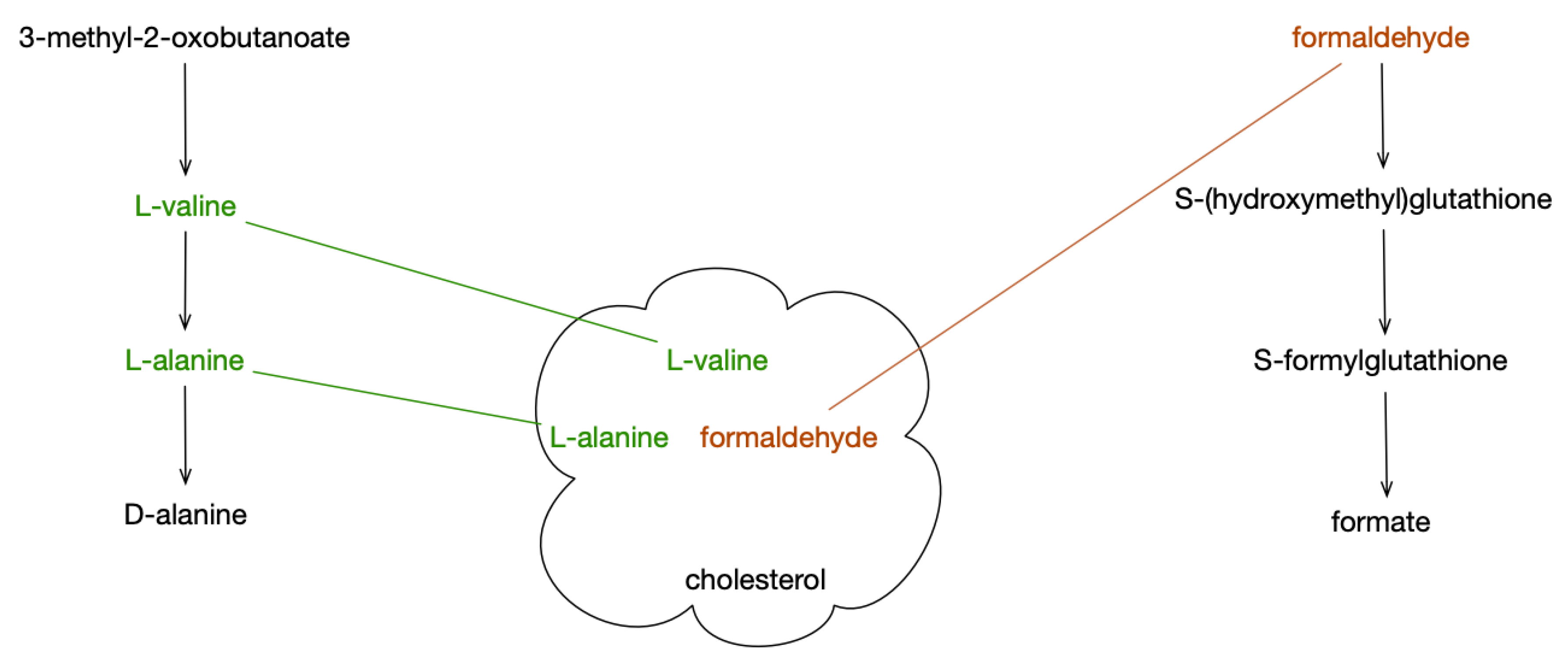 Metabolites 09 00088 g001 550