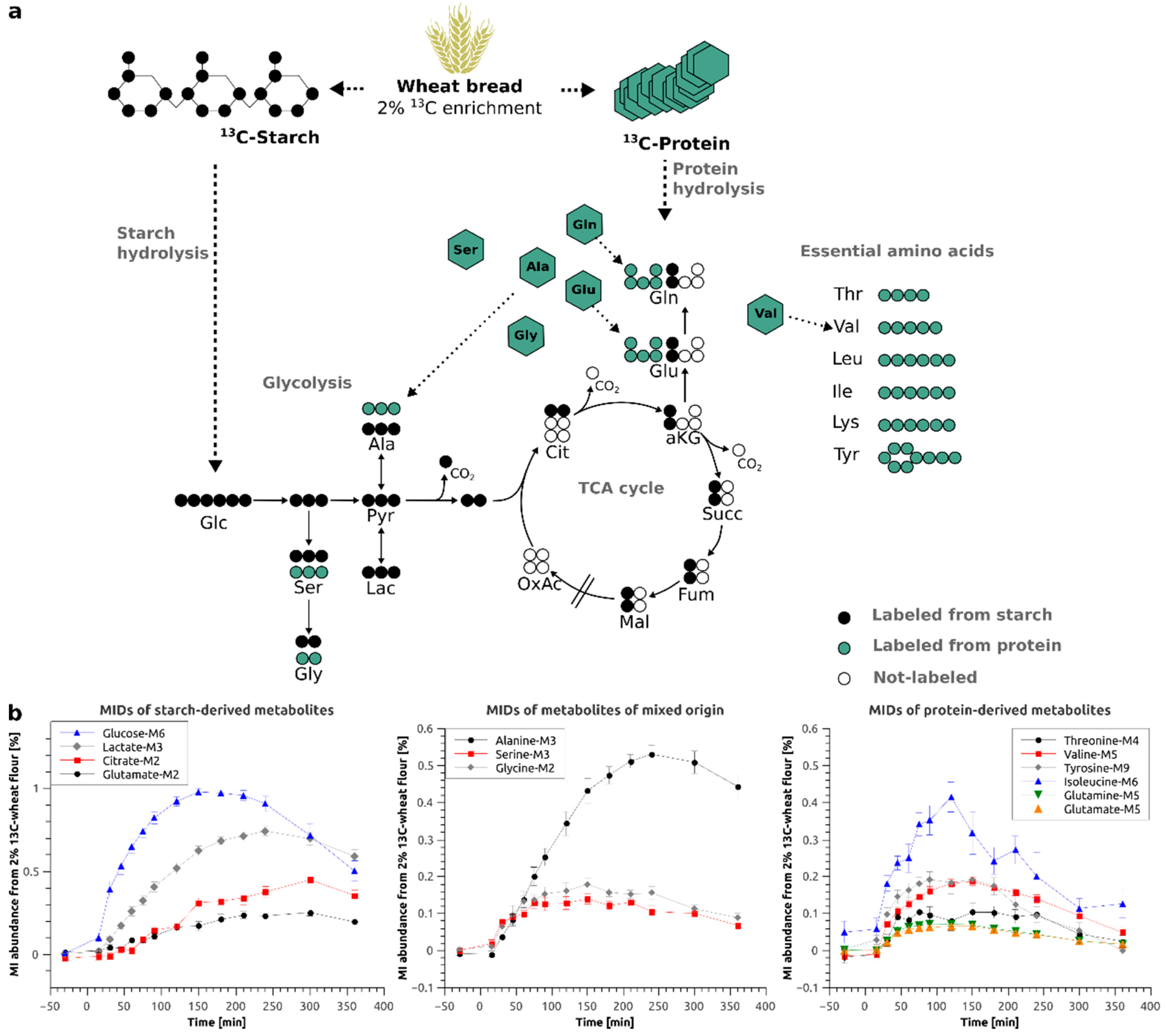 Metabolites 09 00091 g002
