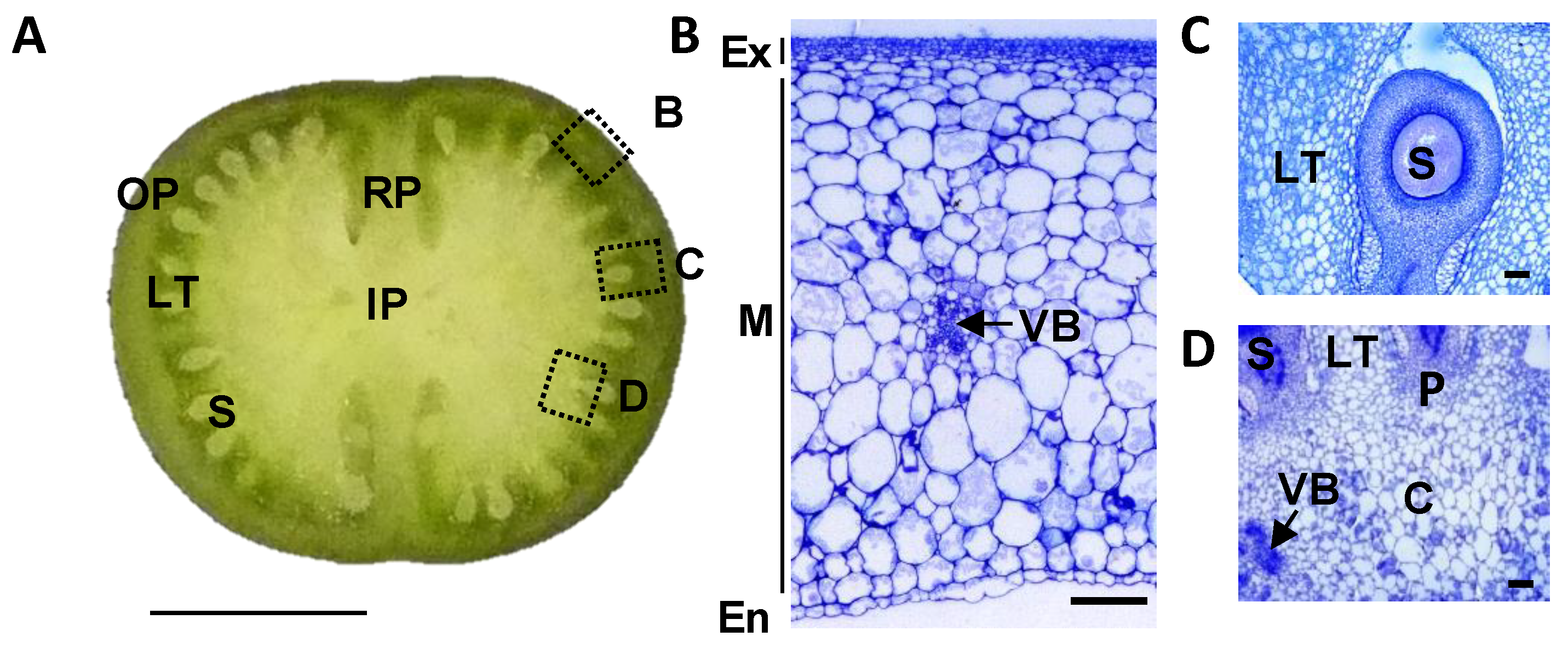 Metabolites 09 00093 g001