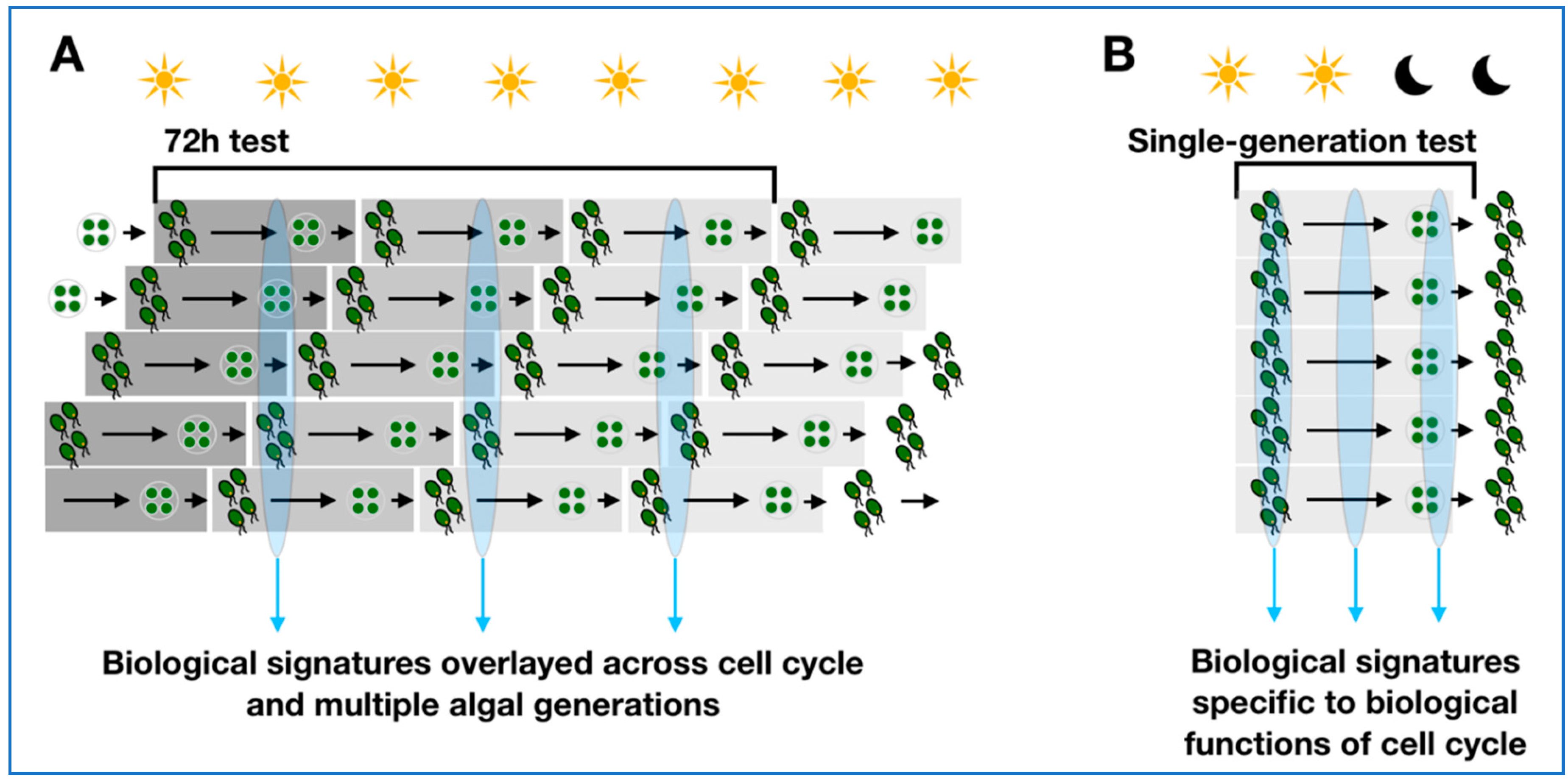 Metabolites 09 00094 g001