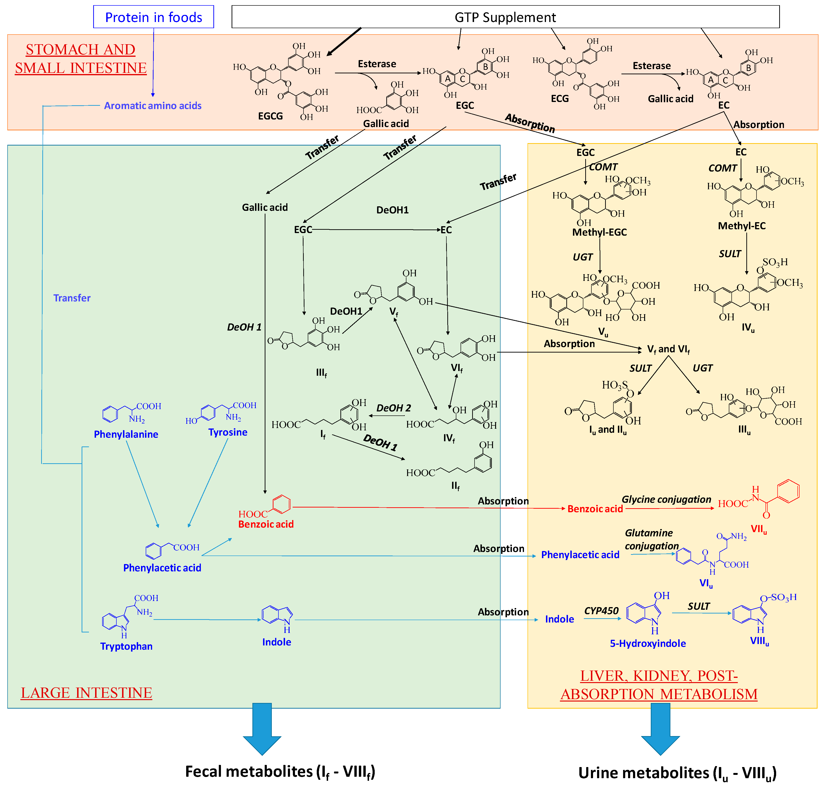 Metabolites 09 00096 g007