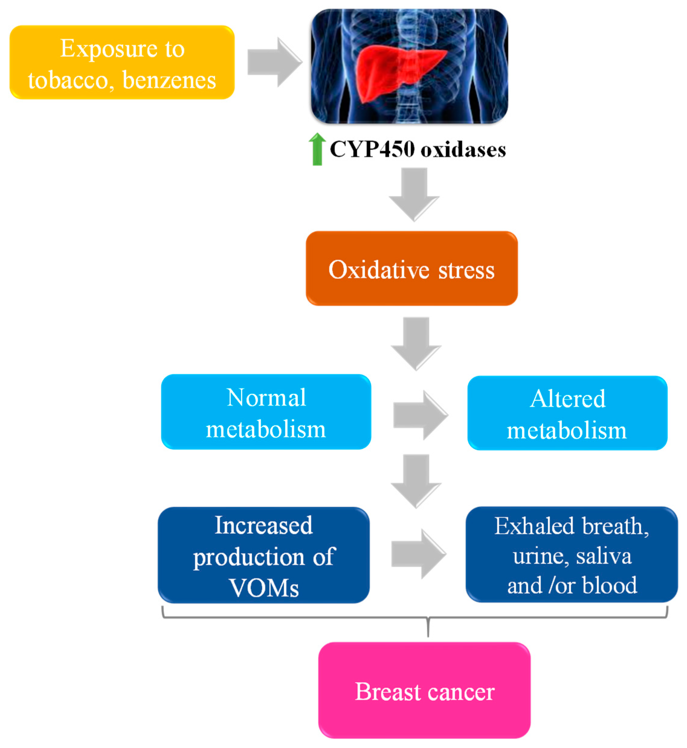 Metabolites 09 00102 g003