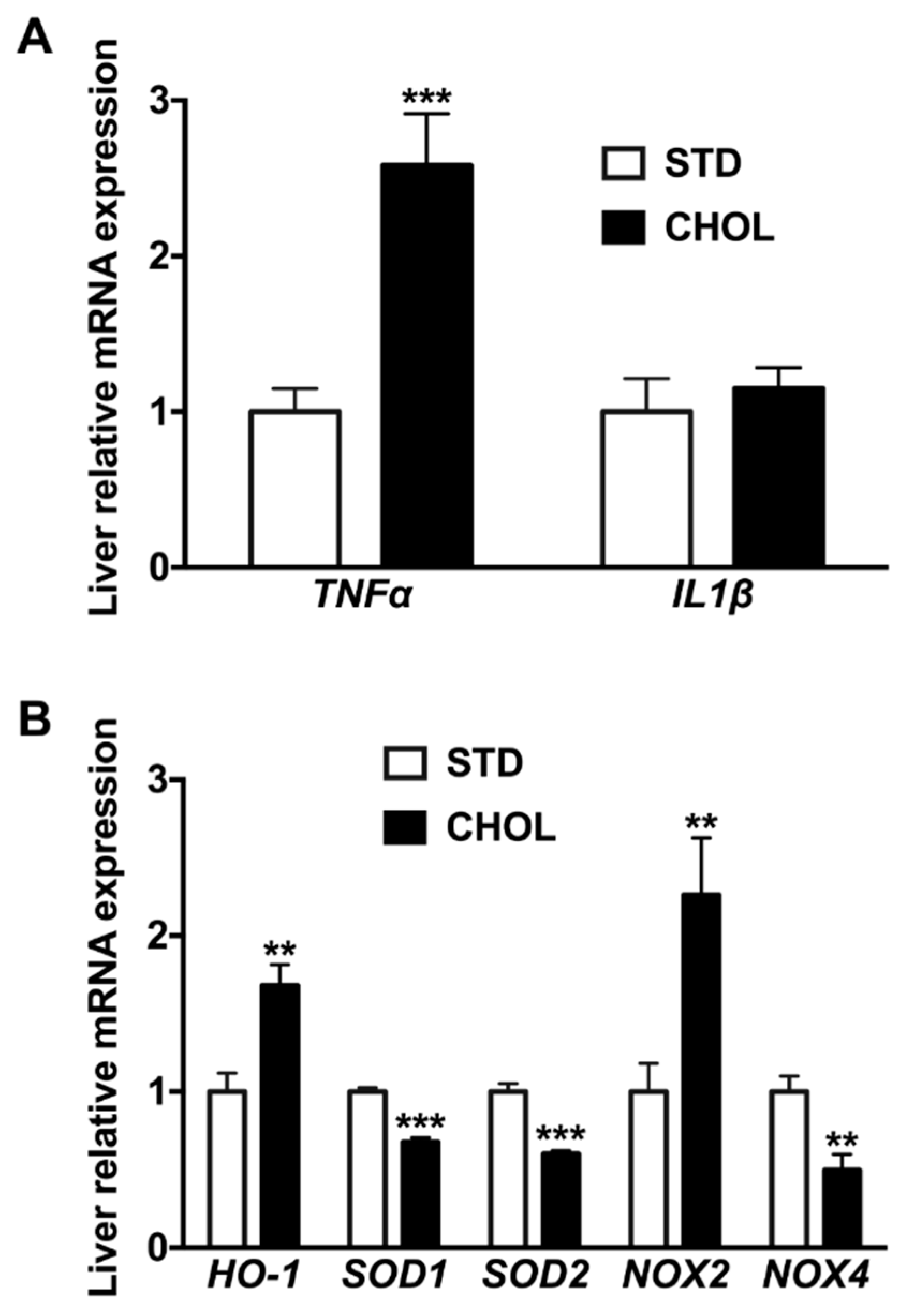 Metabolites 09 00104 g002