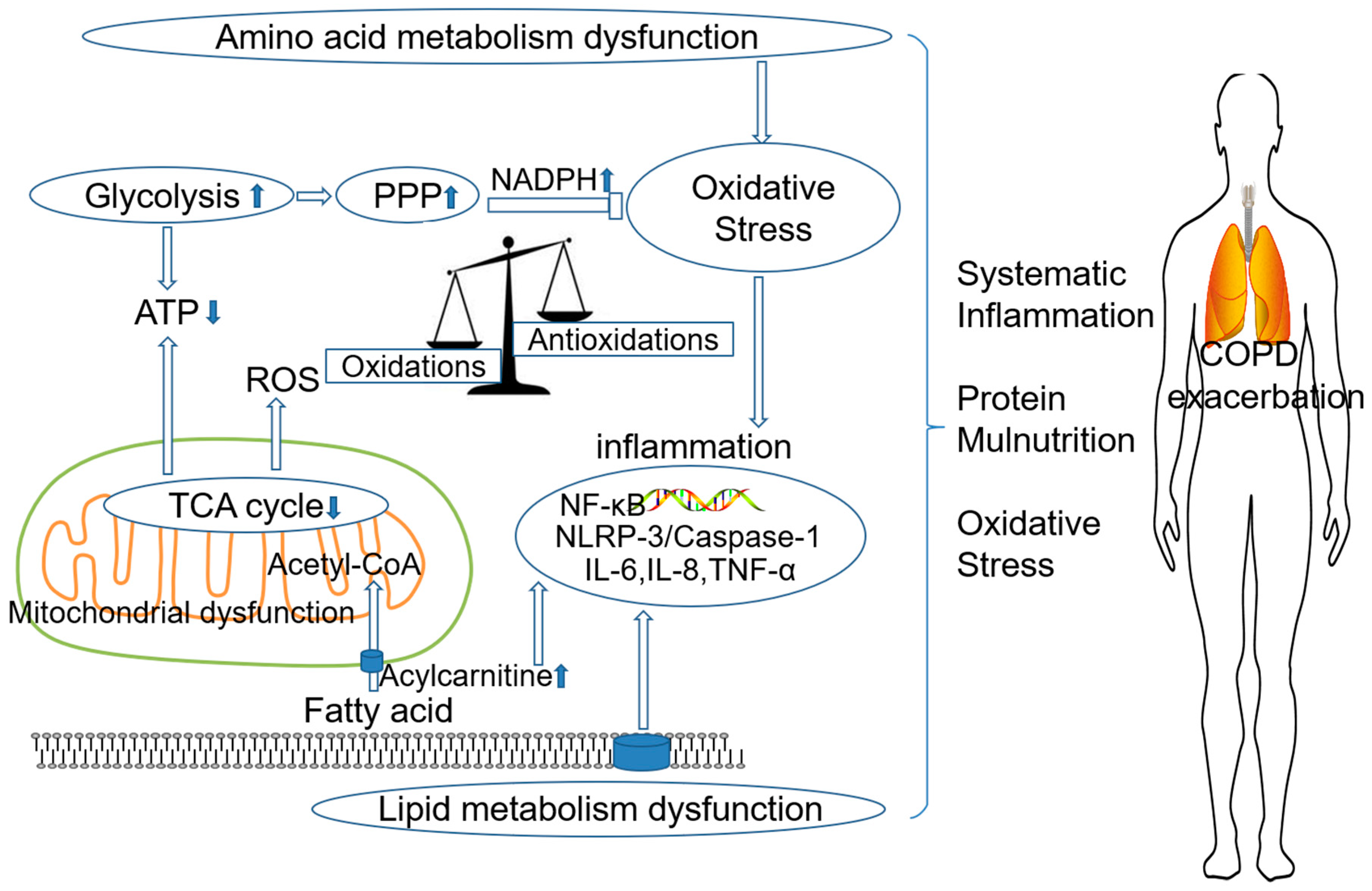 Metabolites 09 00111 g003