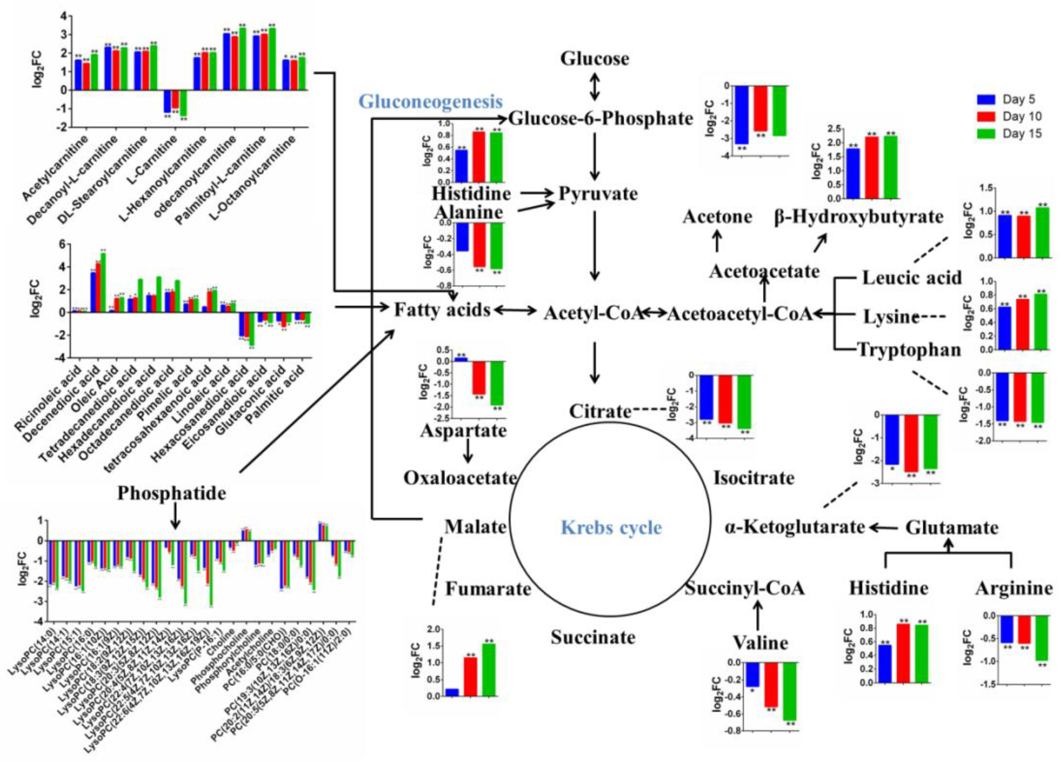 Metabolites 09 00112 g006 Metabolites 09 00112 g006