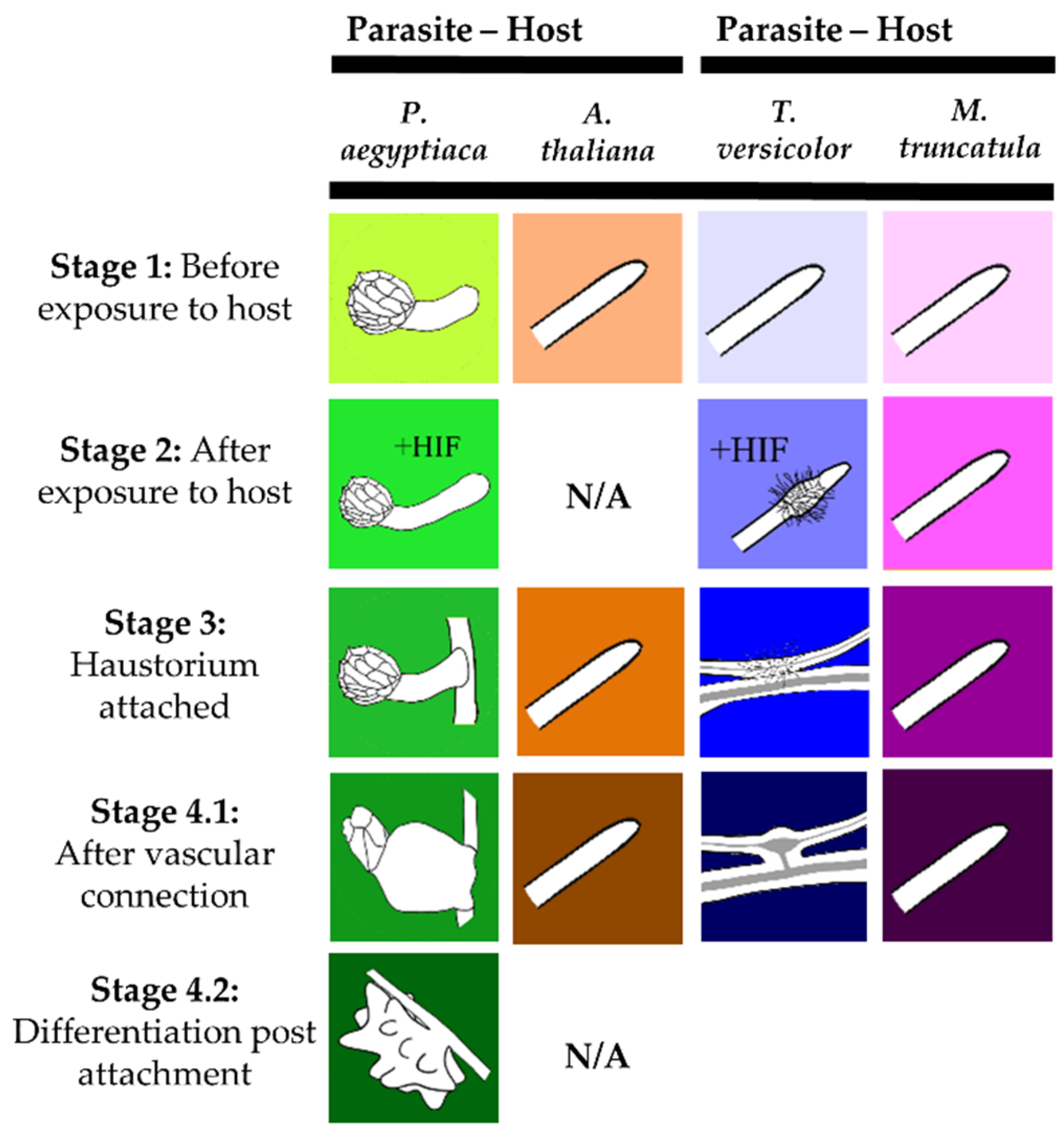 Metabolites 09 00114 g001