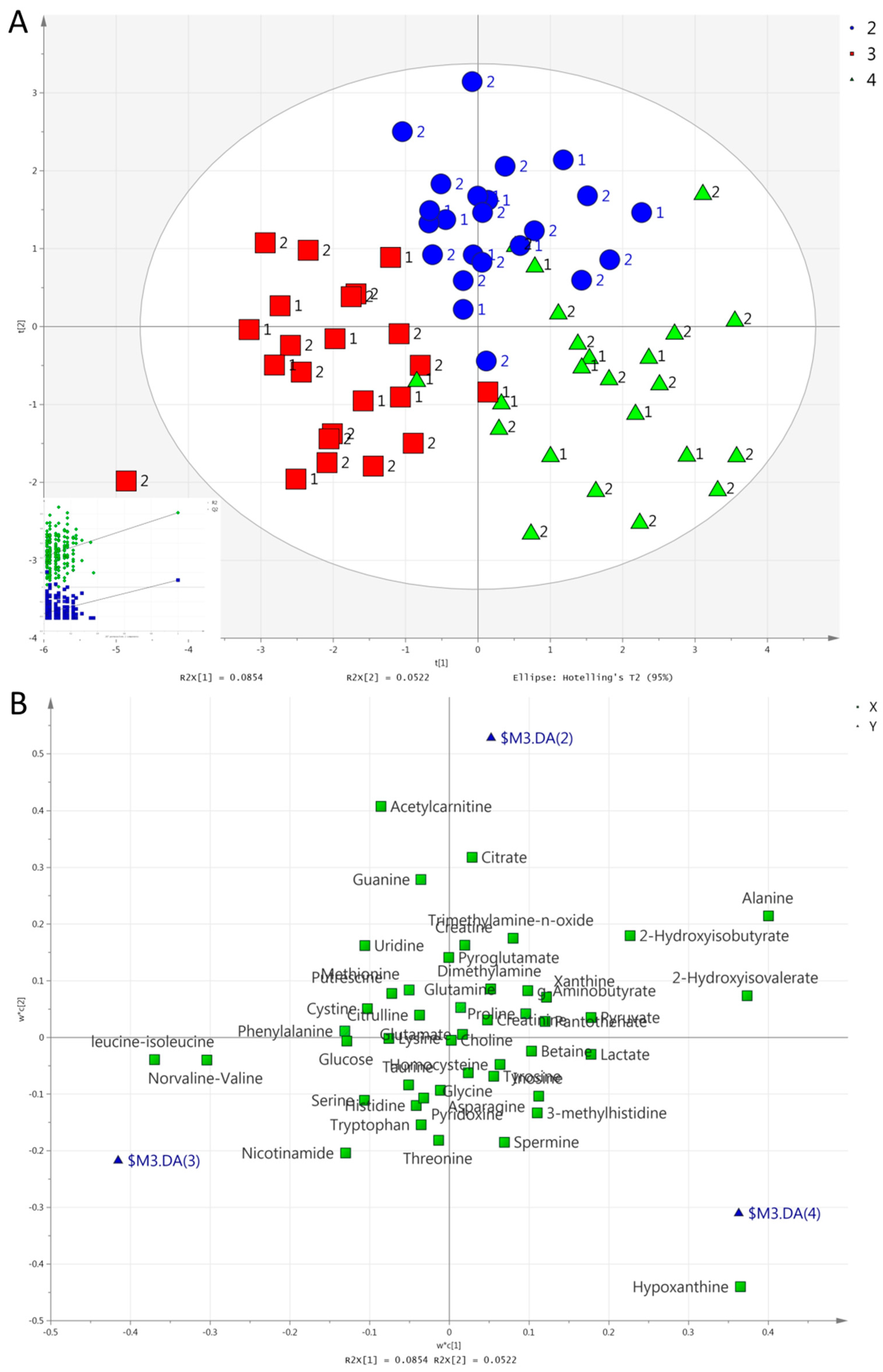 Metabolites 09 00116 g004