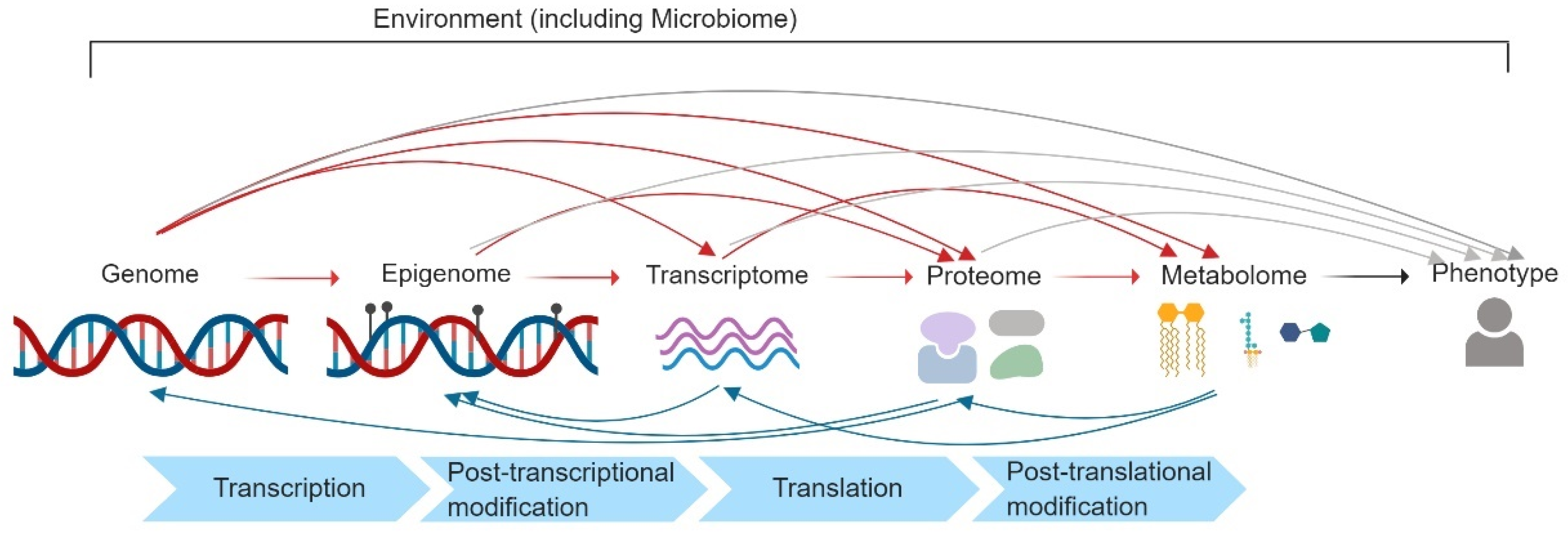Metabolites 09 00117 g001