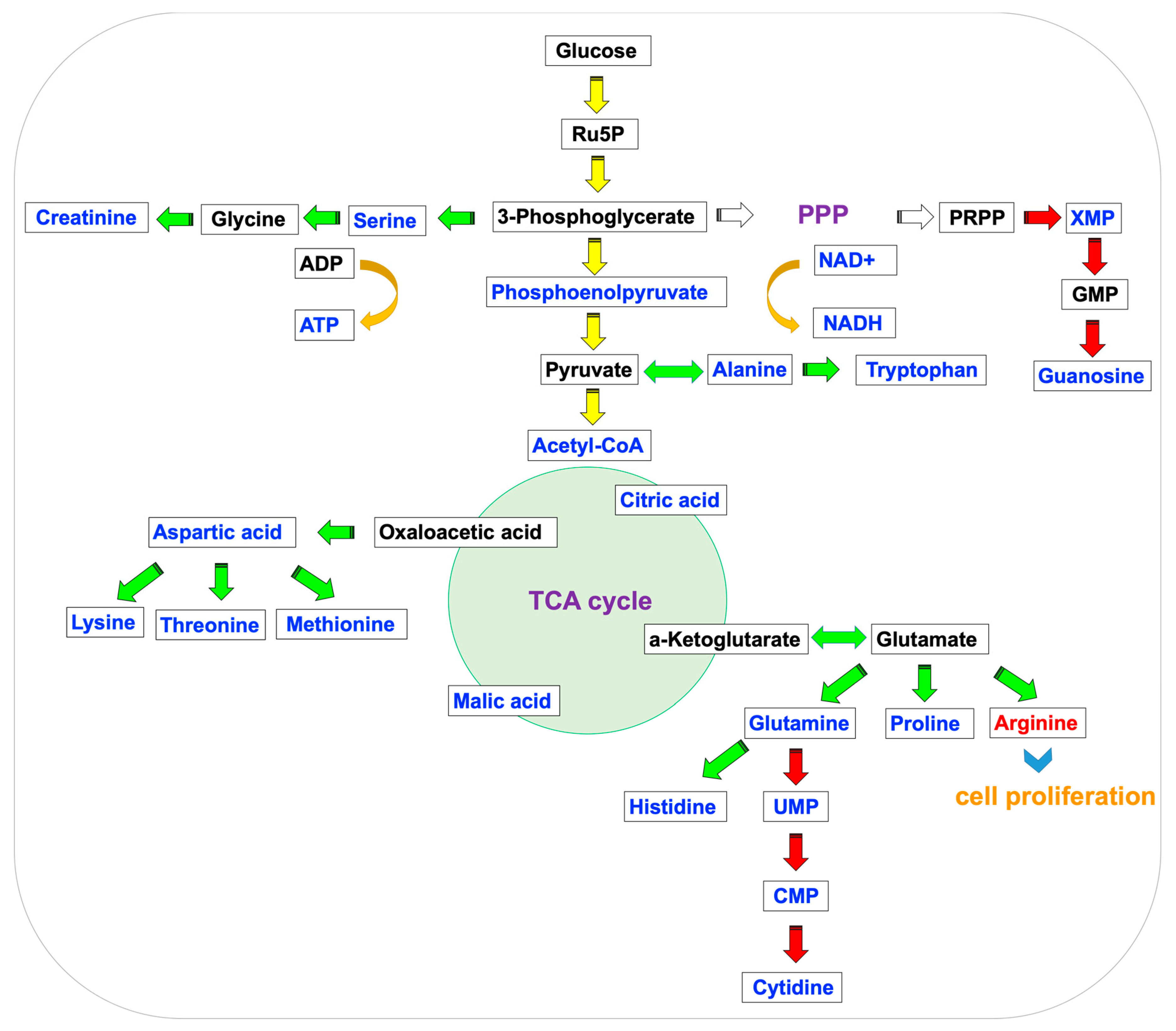 Metabolites 09 00118 g004