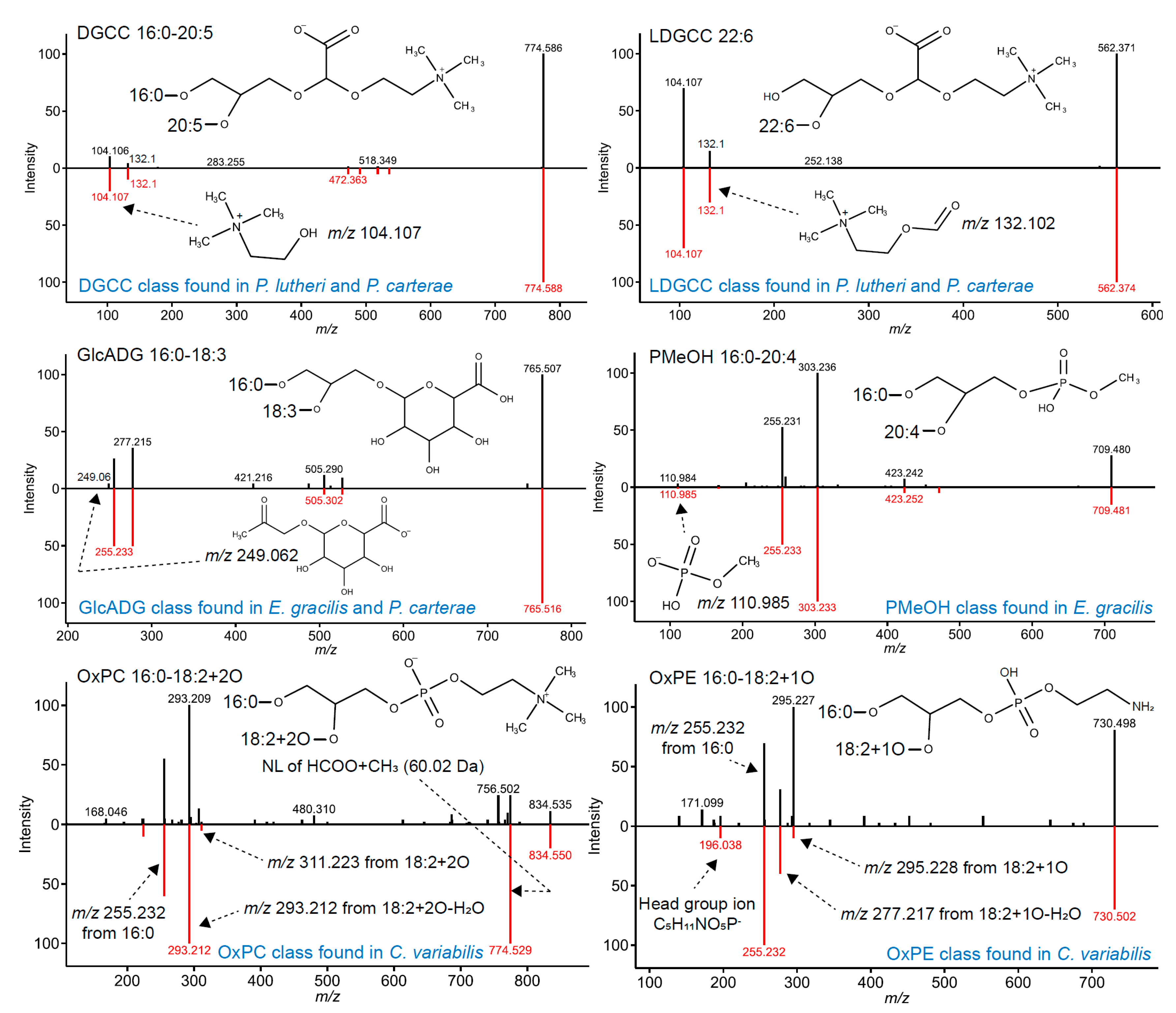 Metabolites 09 00119 g001