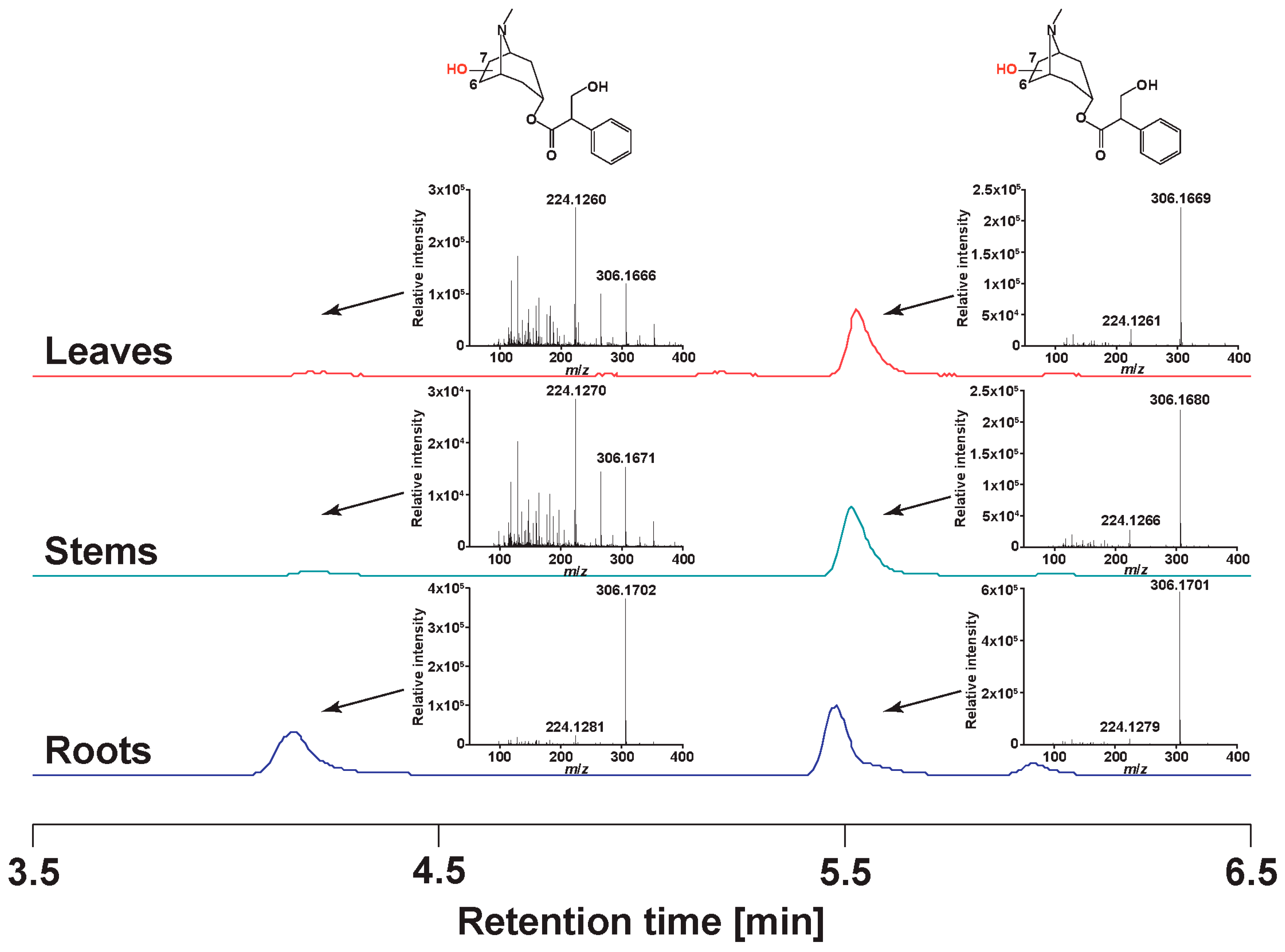 Metabolites 09 00131 g005
