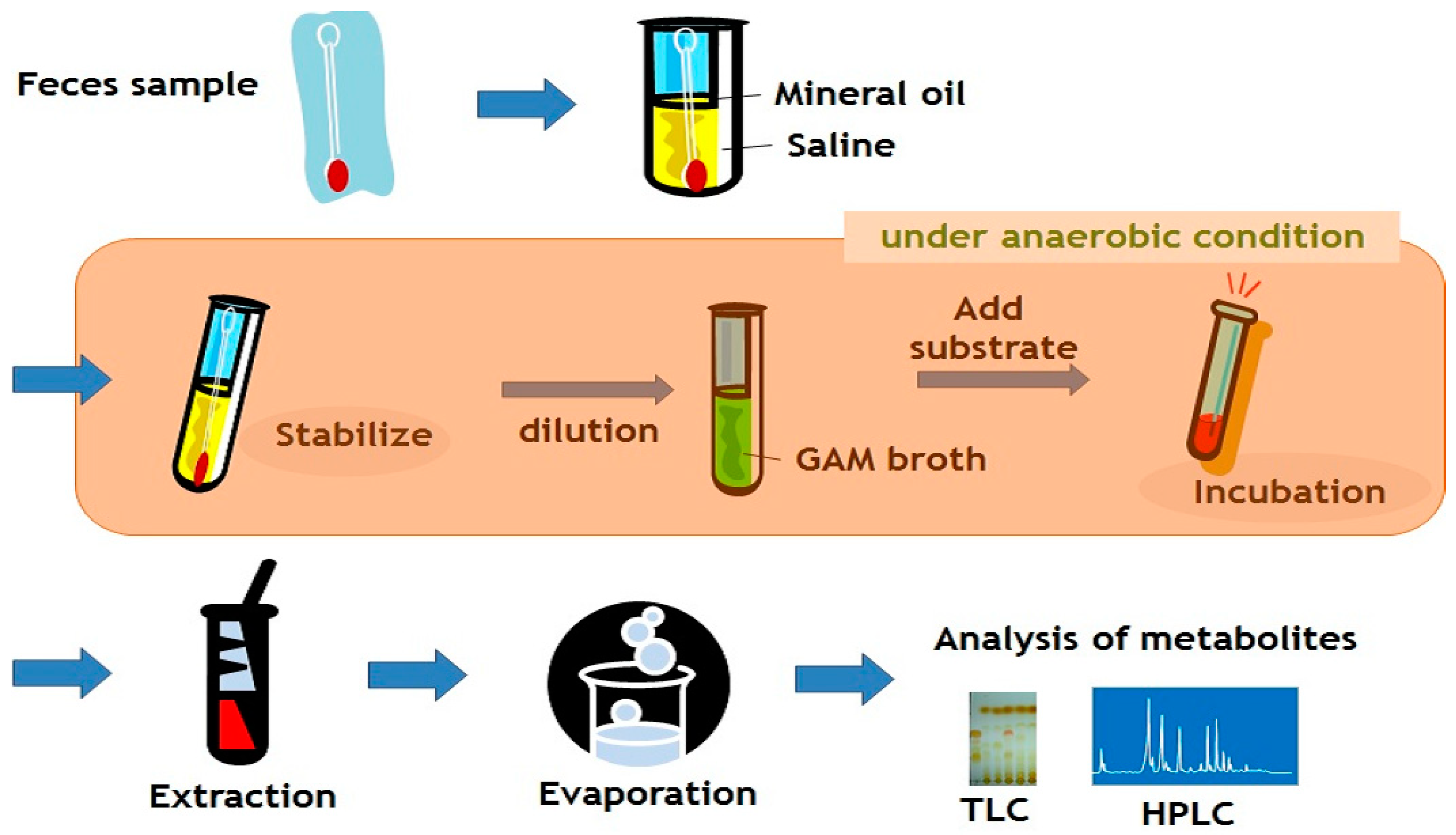 Metabolites 09 00136 g002 Metabolites 09 00136 g002