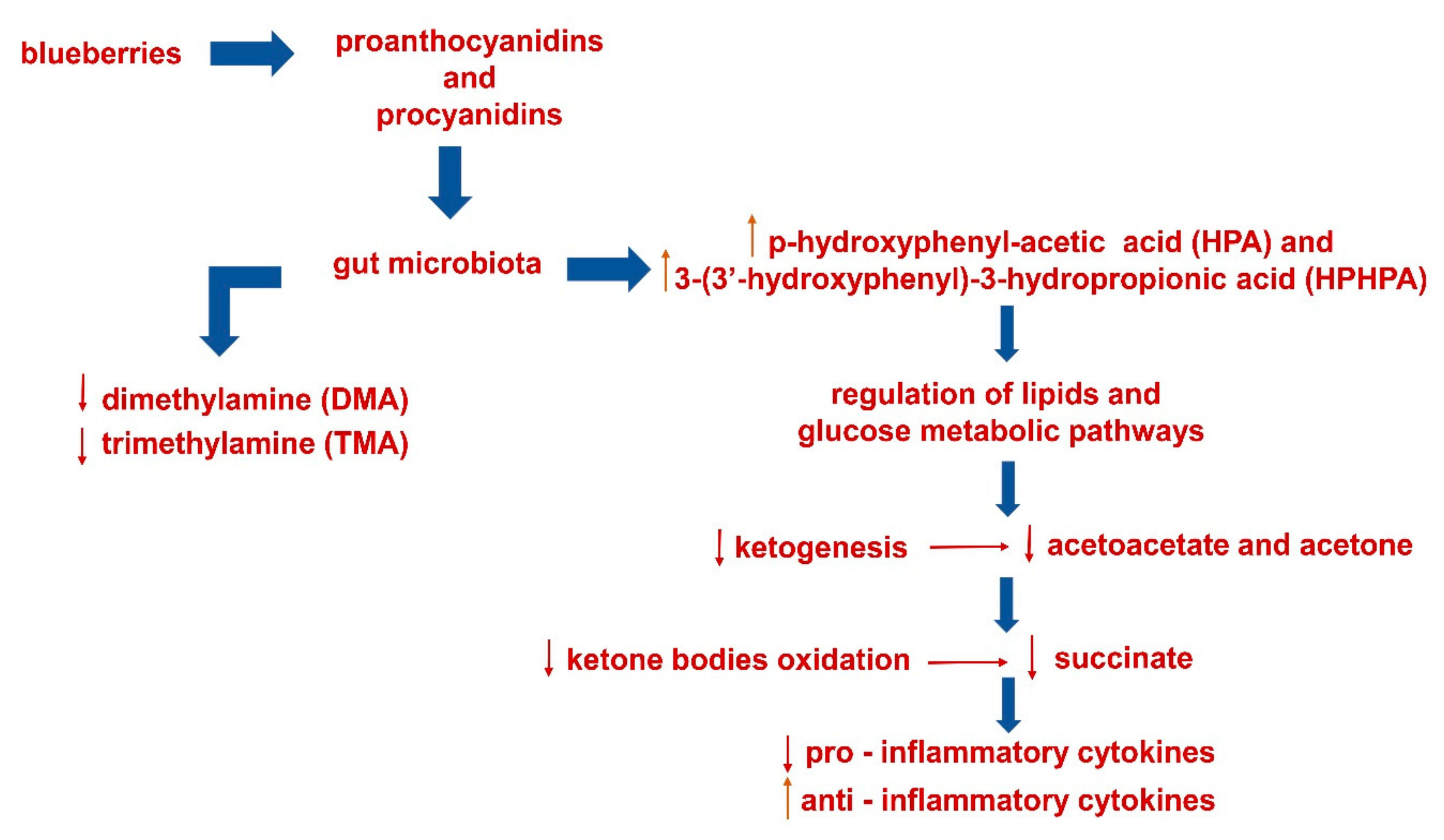 Metabolites 09 00138 sch001