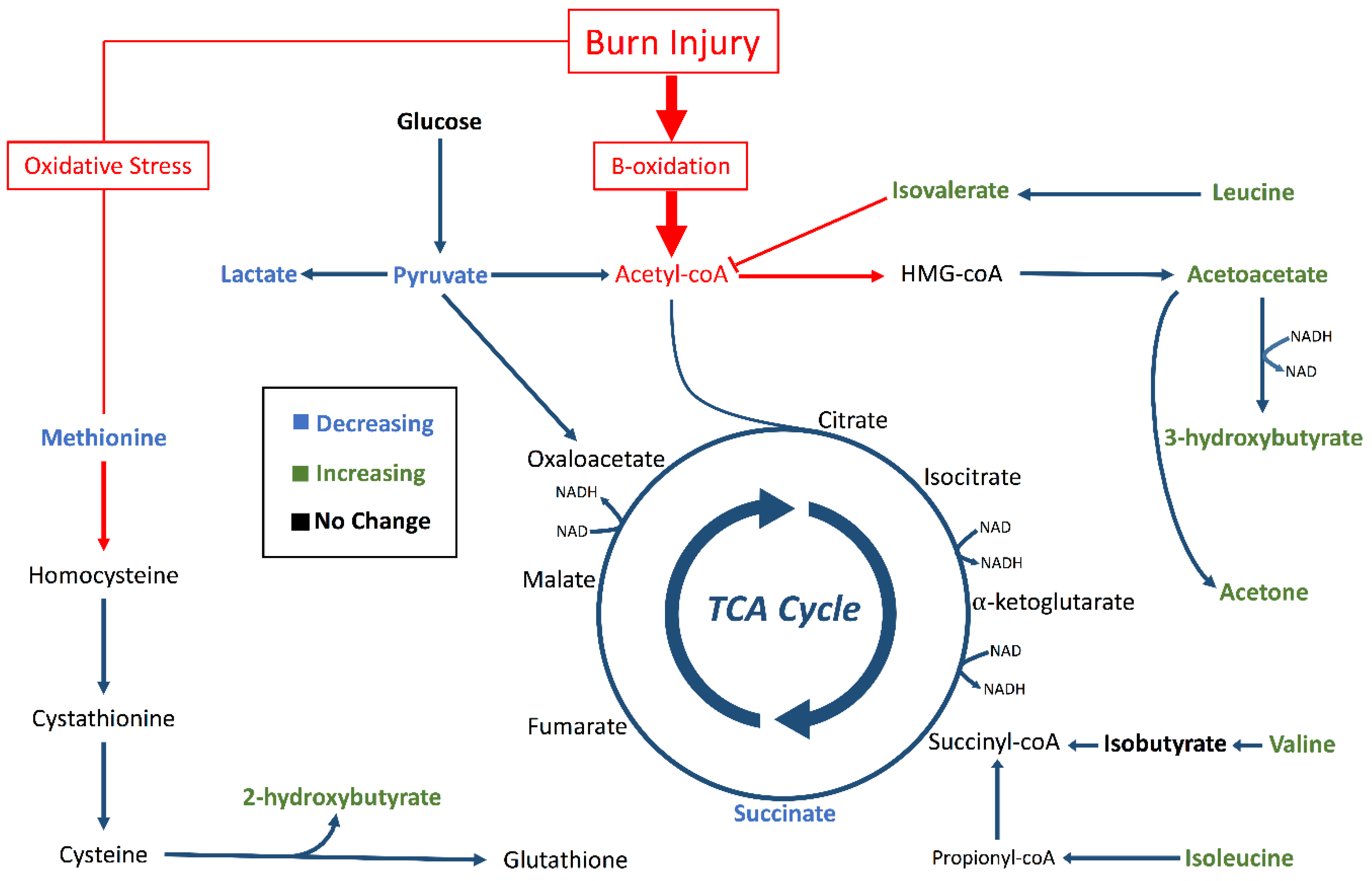 Metabolites 09 00142 g005