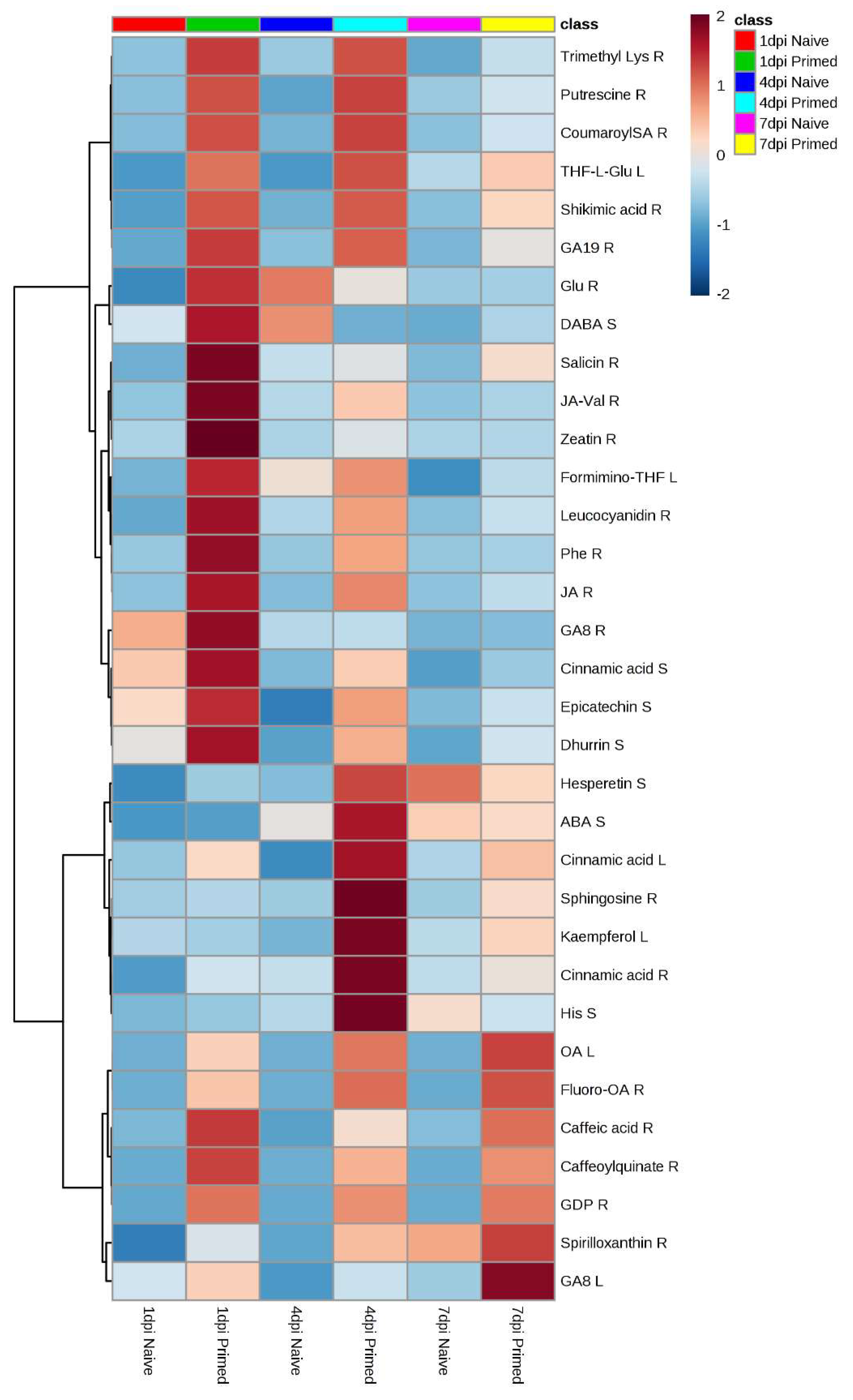 Metabolites 09 00150 g005 Metabolites 09 00150 g005