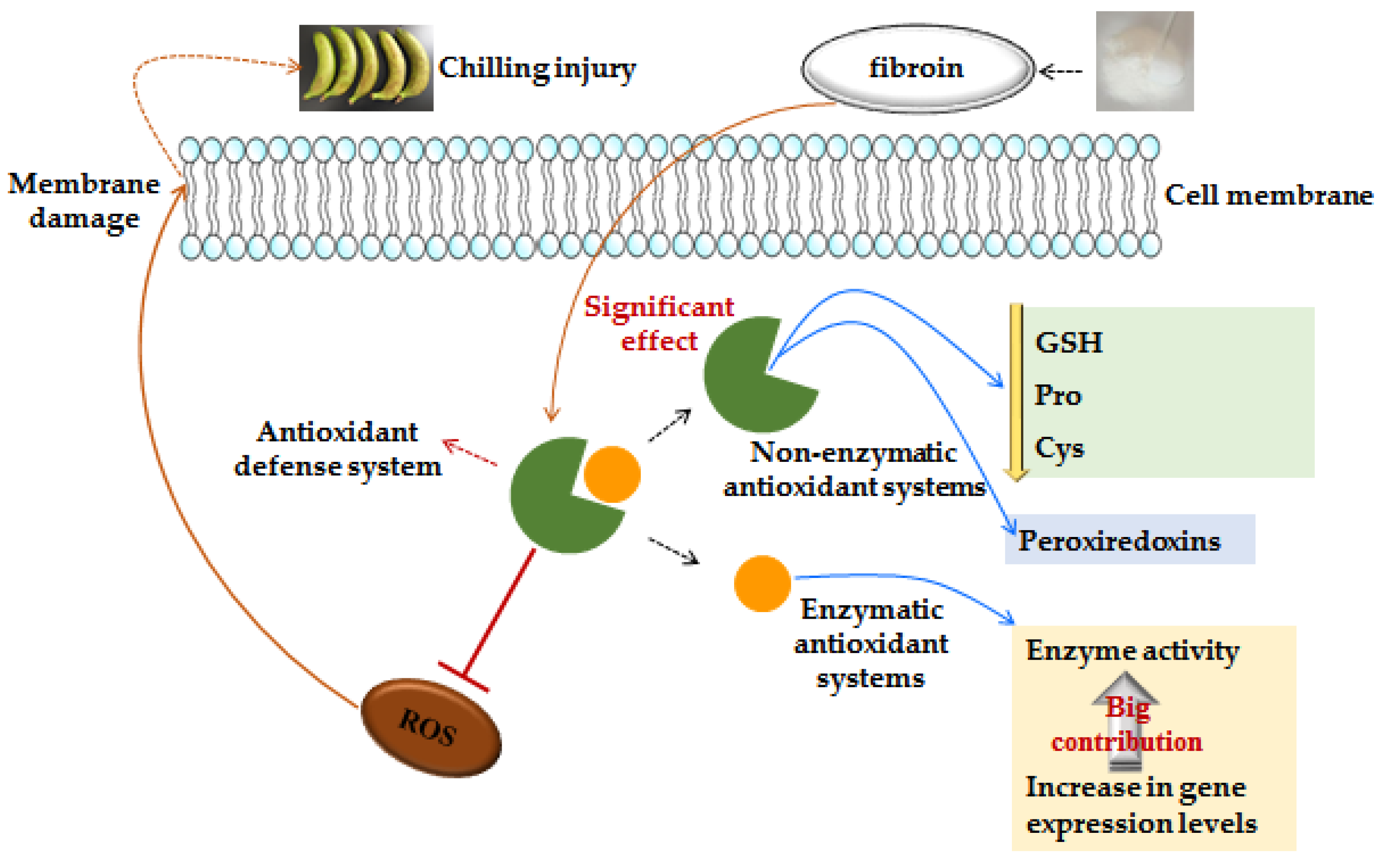 Metabolites 09 00152 g007 Metabolites 09 00152 g007