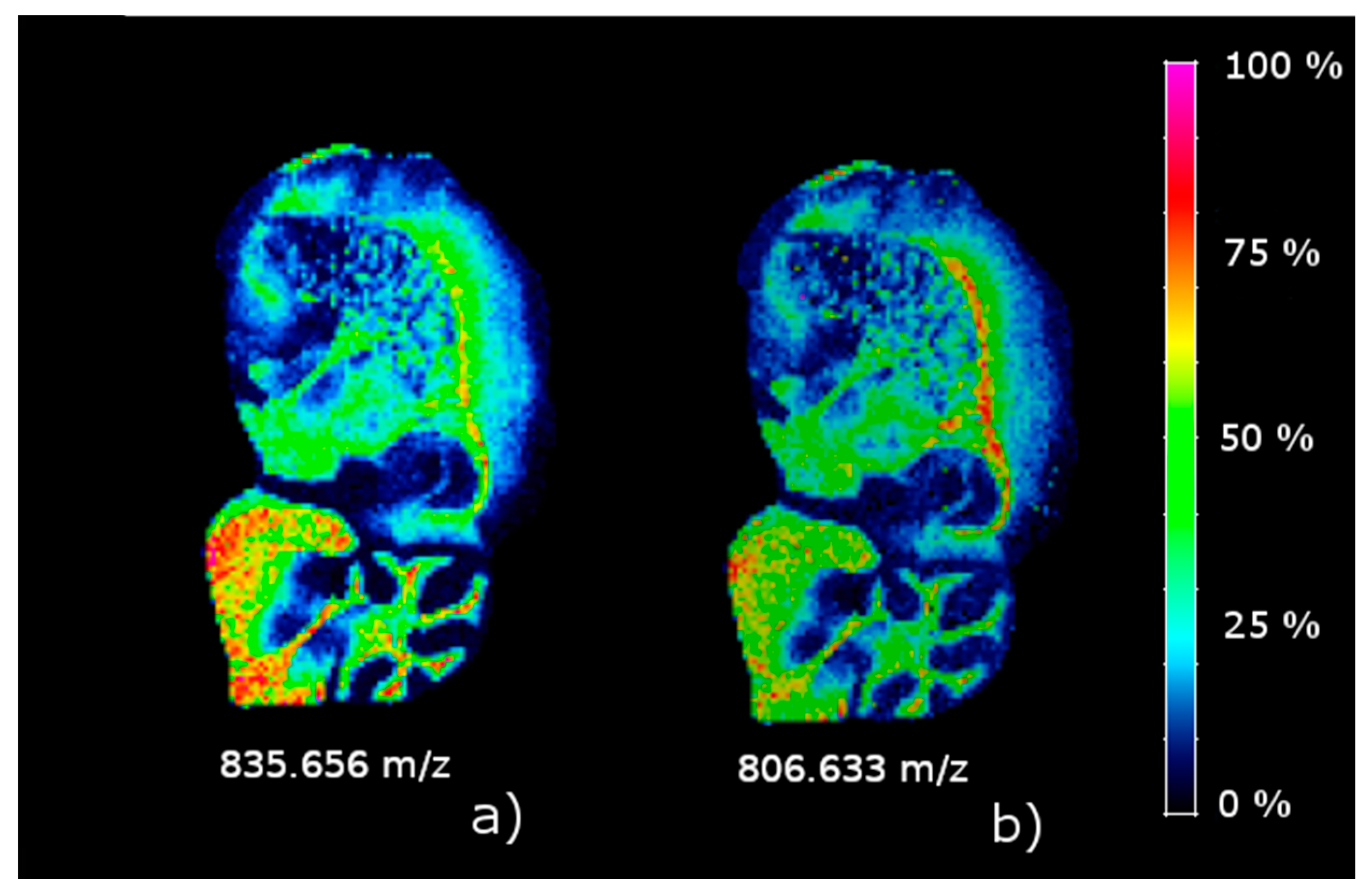 Metabolites 09 00162 g004