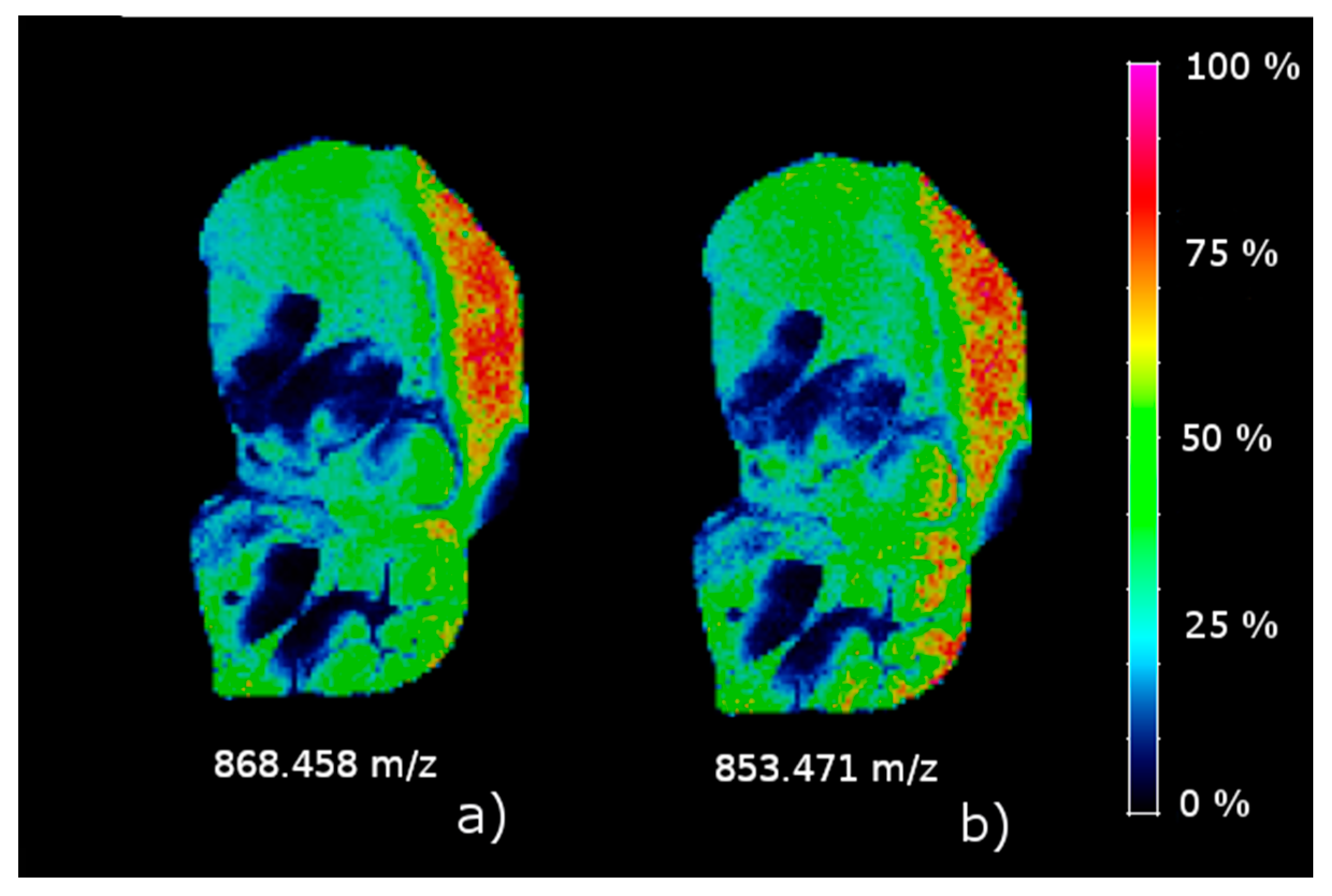 Metabolites 09 00162 g005