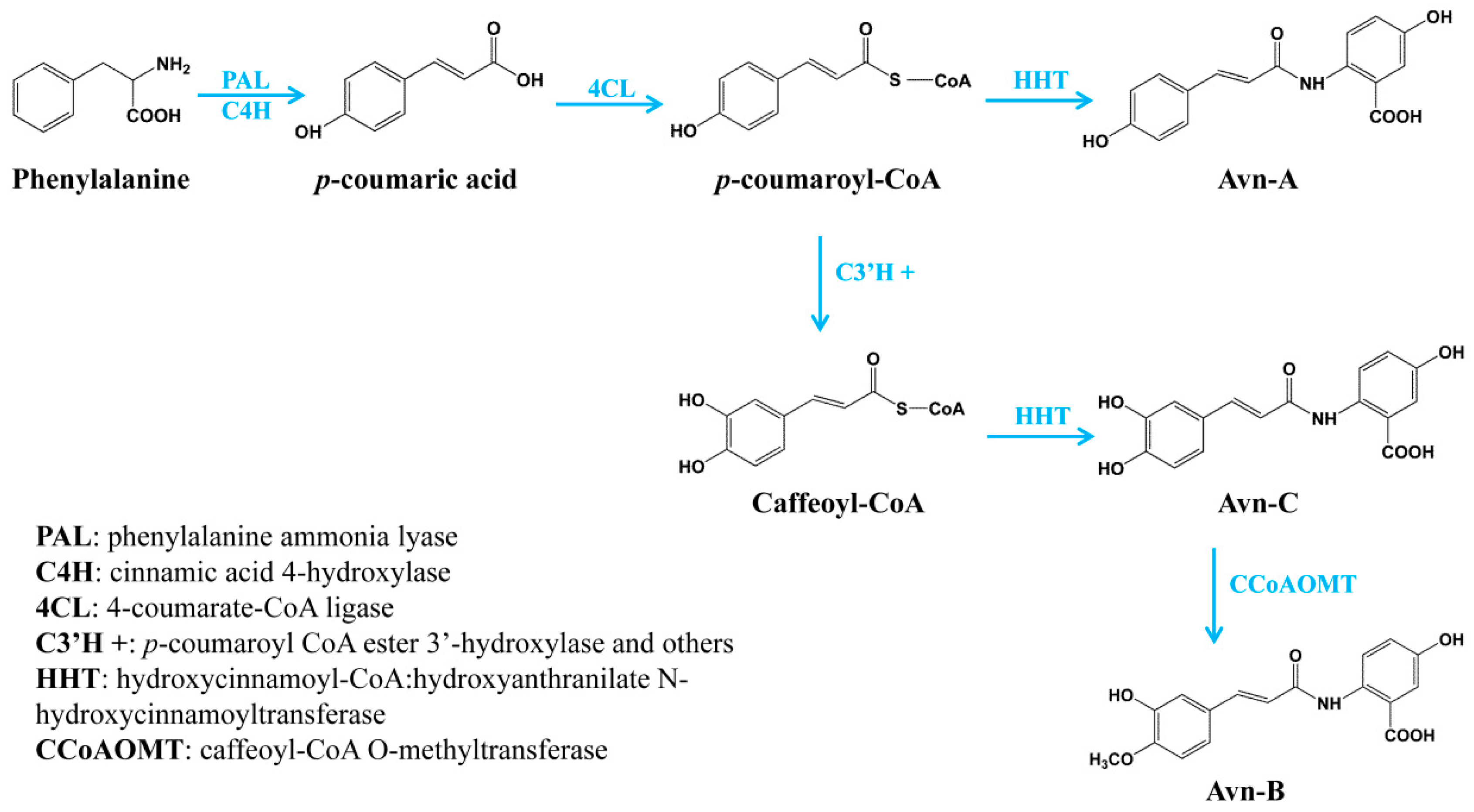 Metabolites 09 00163 g005