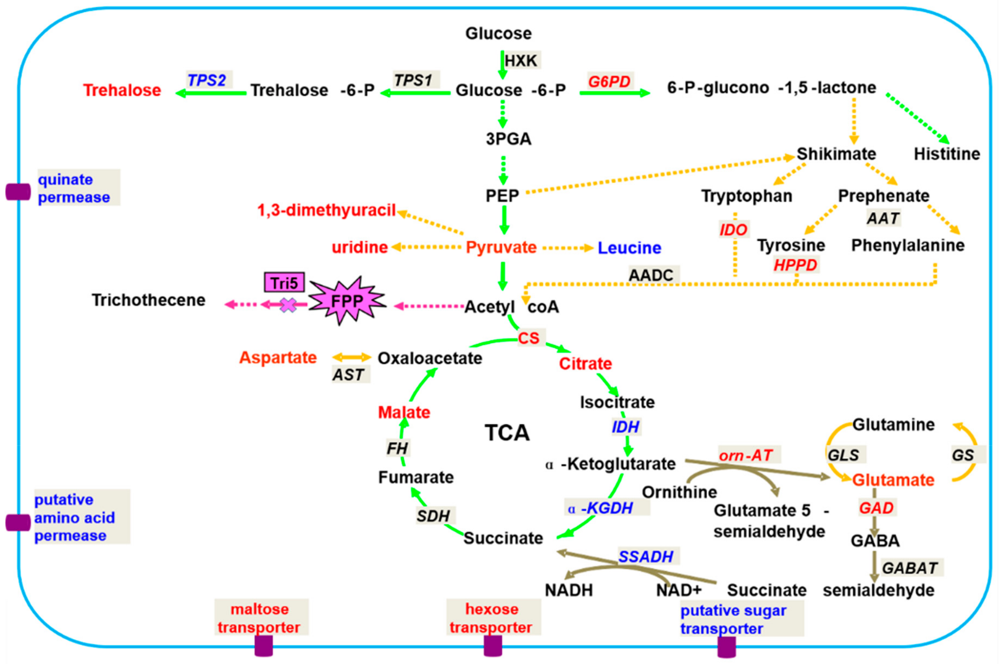 Metabolites 09 00169 g002