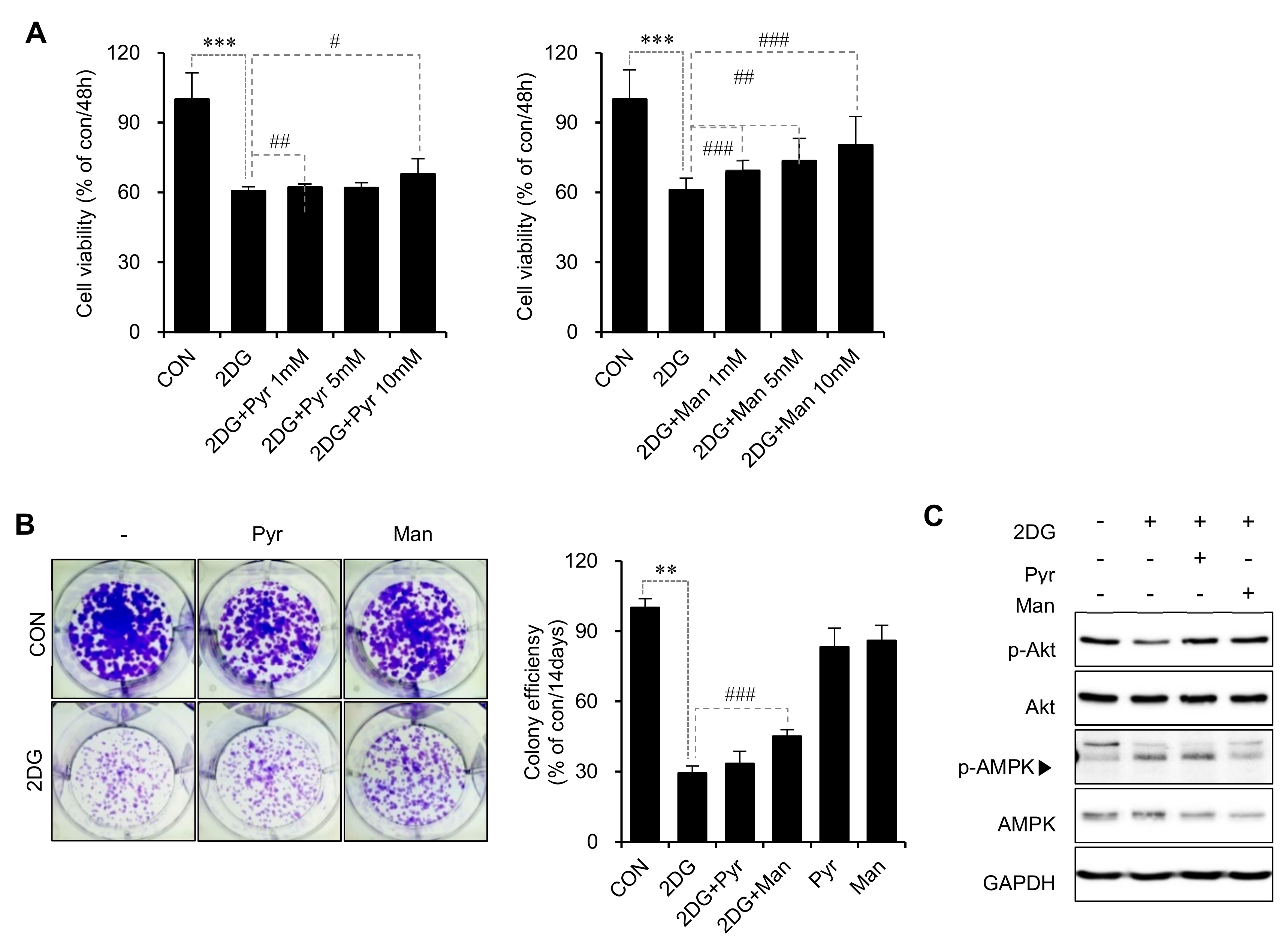 Metabolites | Free Full-Text | 2-Deoxy-d-Glucose-Induced ...