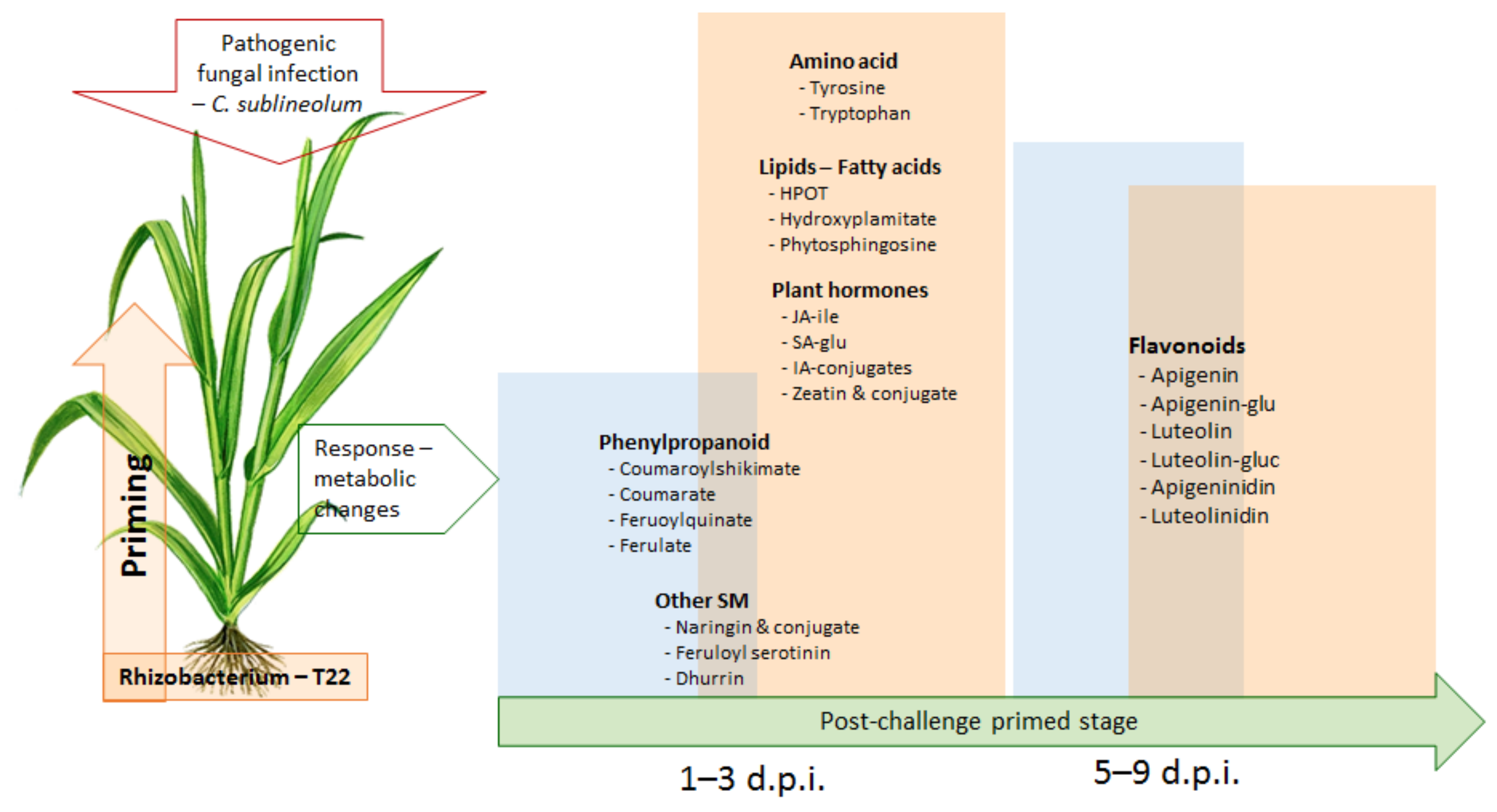 Metabolites 09 00194 g006