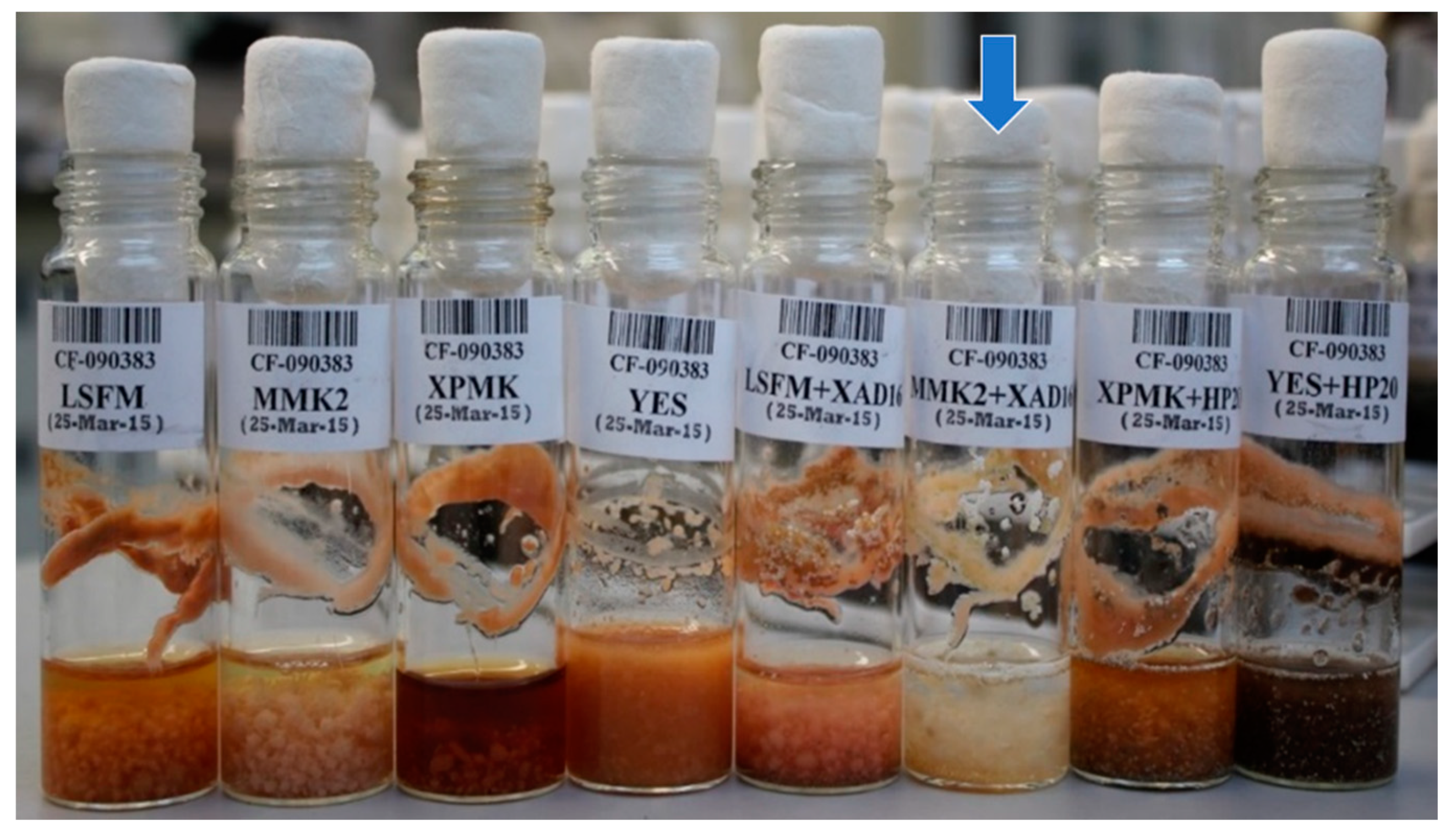 Metabolites 09 00197 g002 Metabolites 09 00197 g002