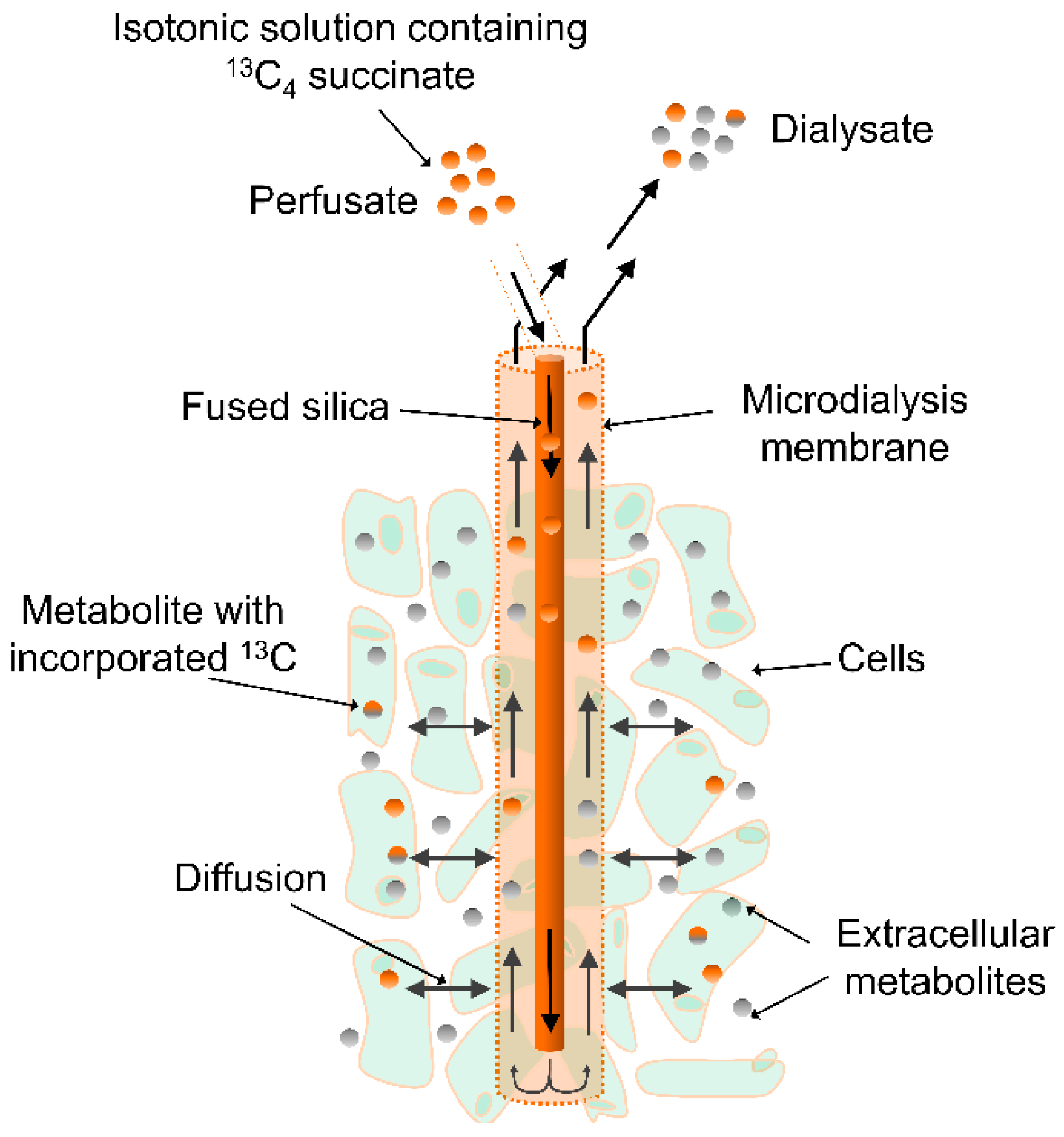 Metabolites 09 00204 g001 Metabolites 09 00204 g001
