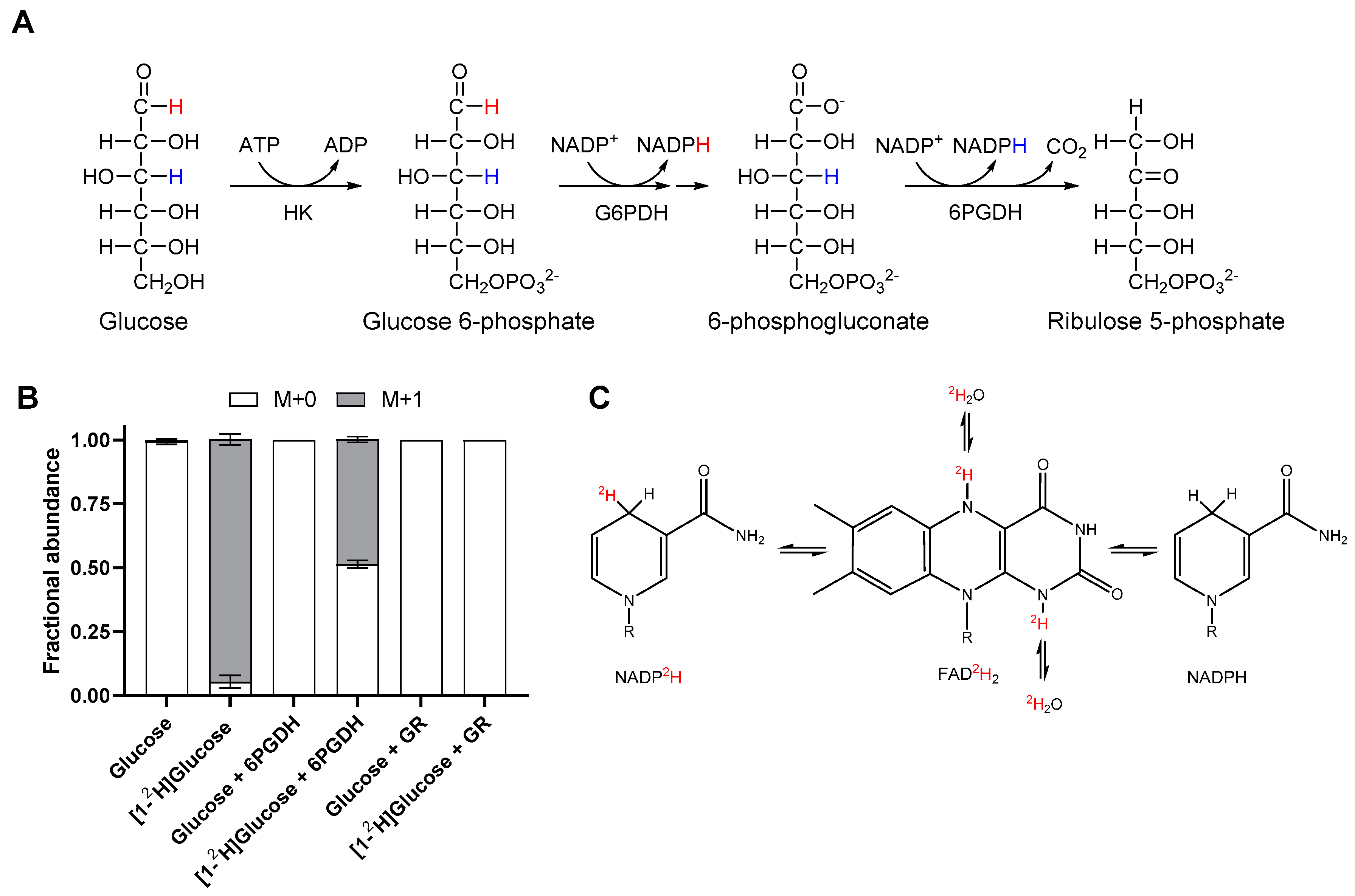 Metabolites 09 00205 g001
