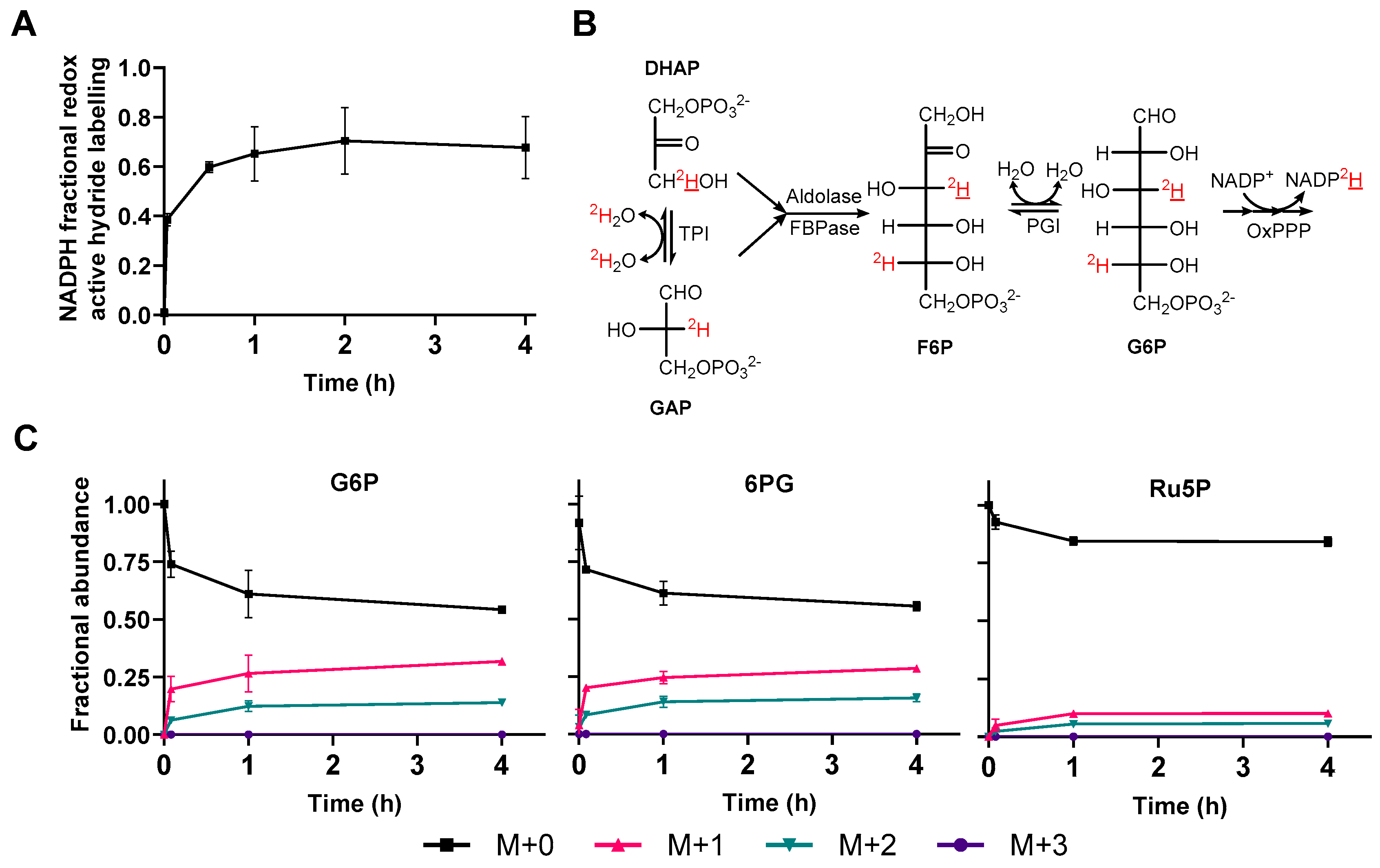 Metabolites 09 00205 g002
