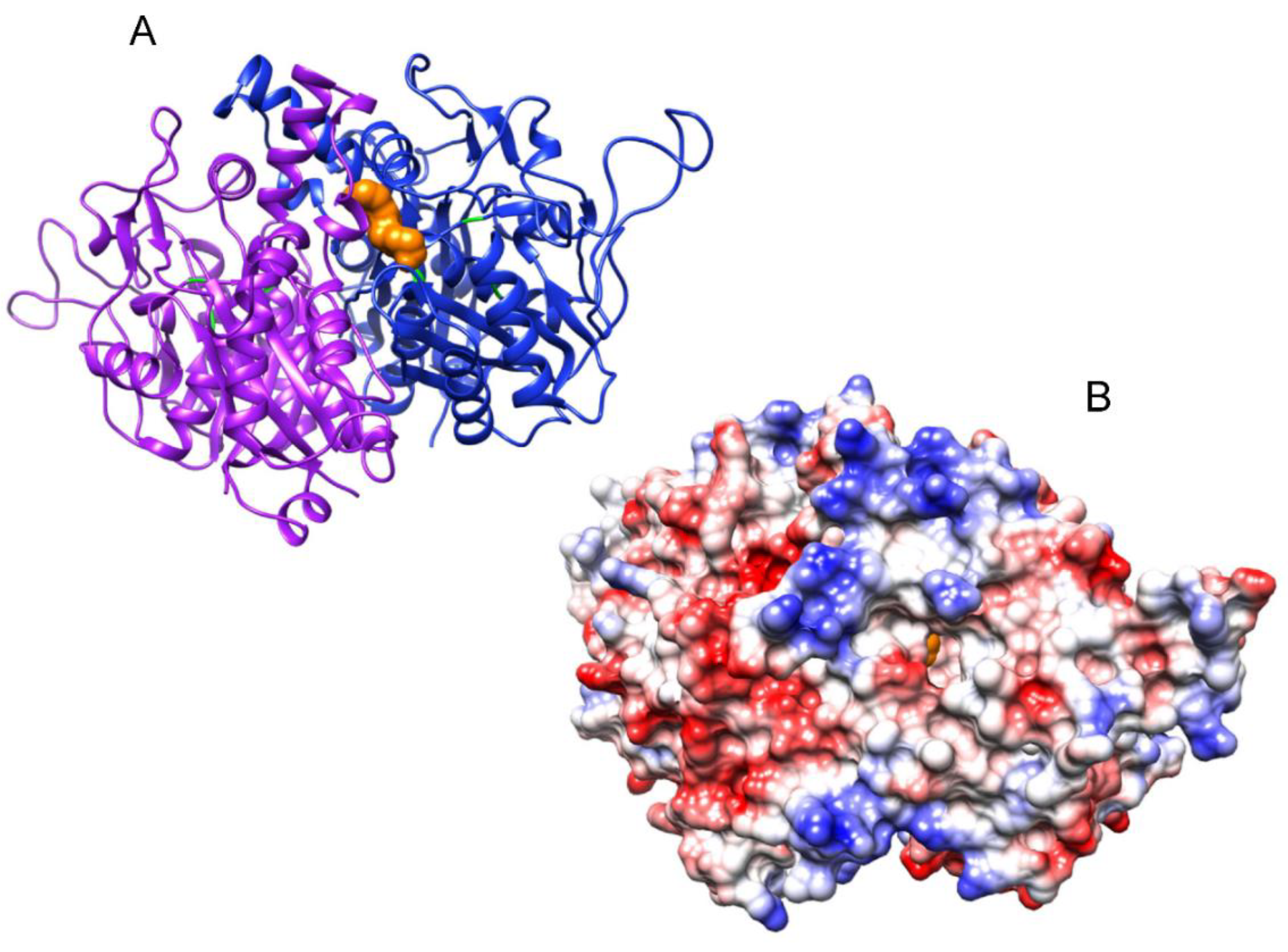Metabolites 09 00209 g009 Metabolites 09 00209 g009