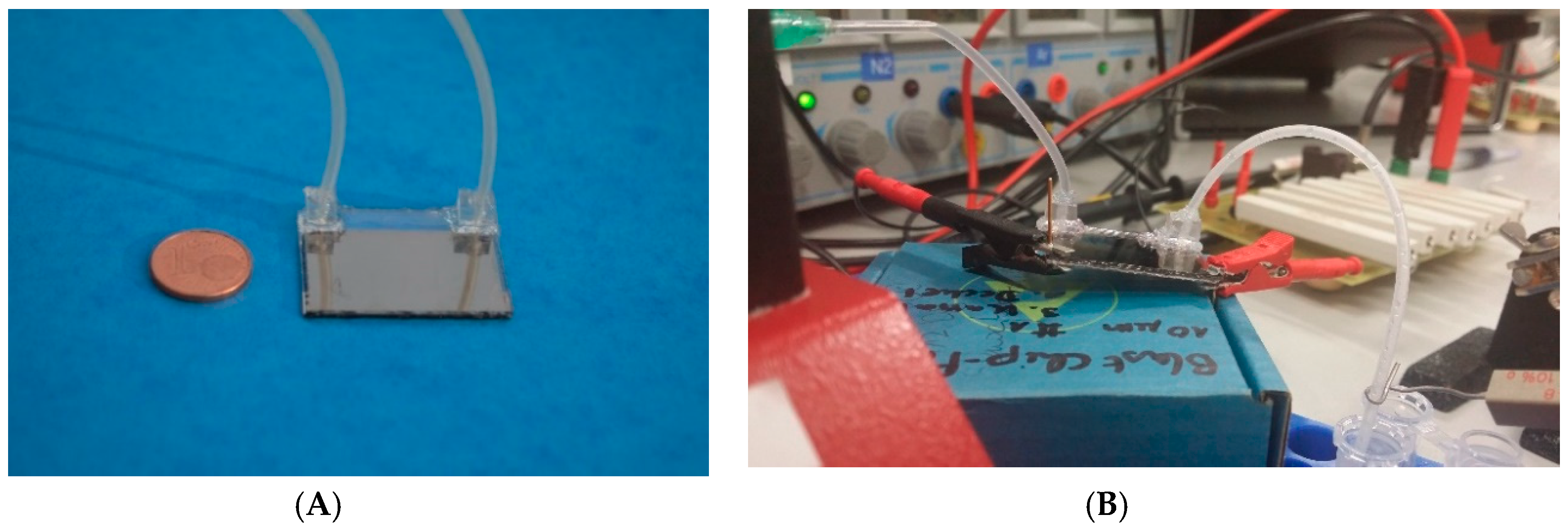 Metabolites 09 00211 g001 Metabolites 09 00211 g001