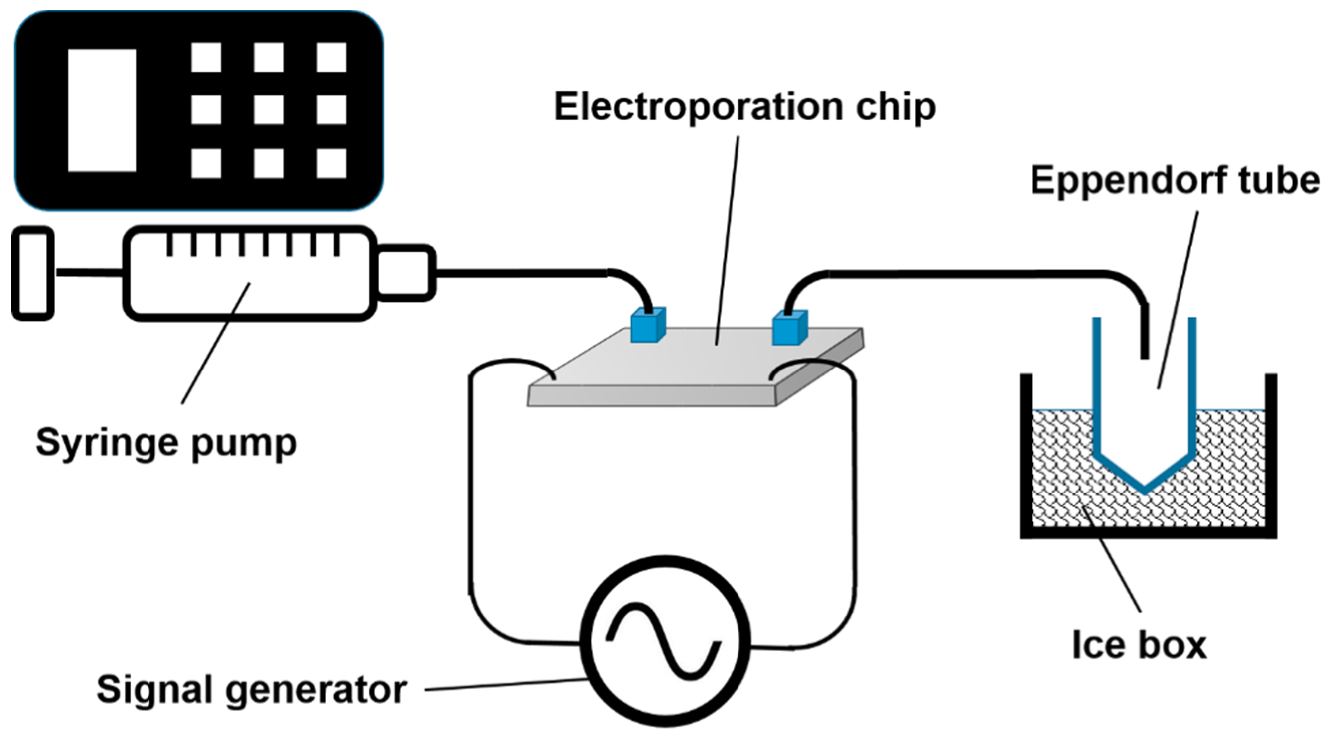 Metabolites 09 00211 g005 Metabolites 09 00211 g005