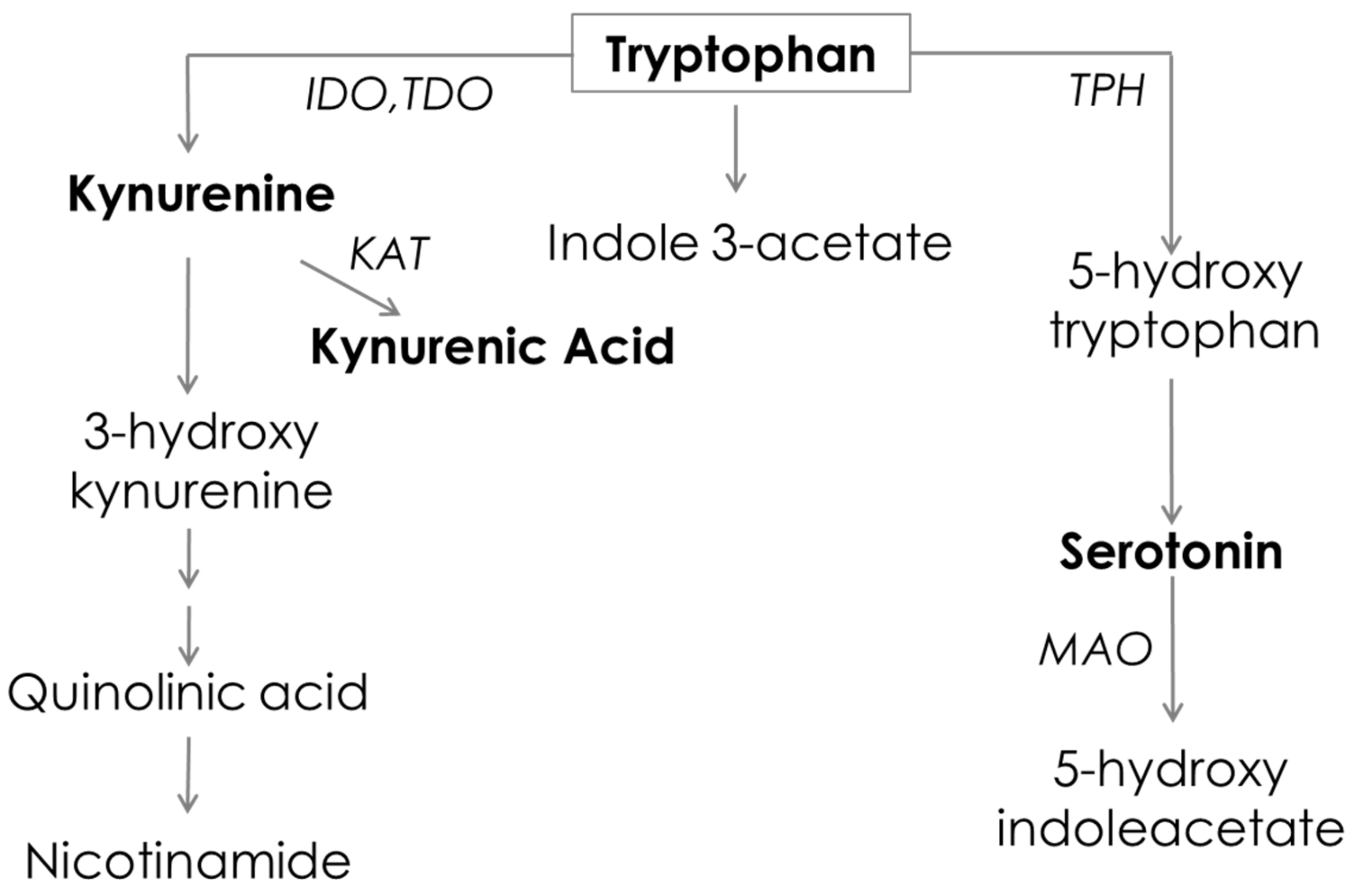 Metabolites 09 00212 g001