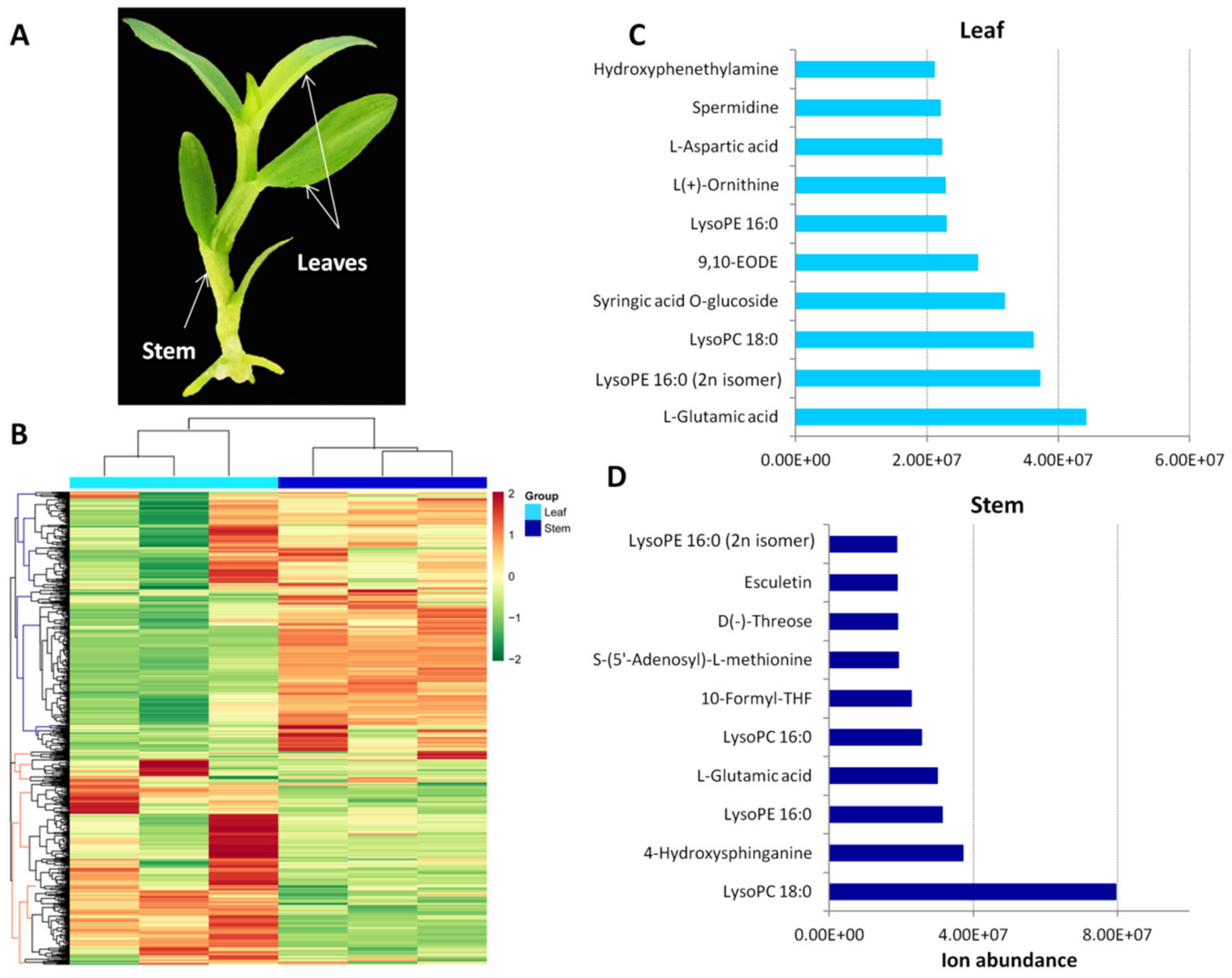 Metabolites 09 00215 g001 Metabolites 09 00215 g001