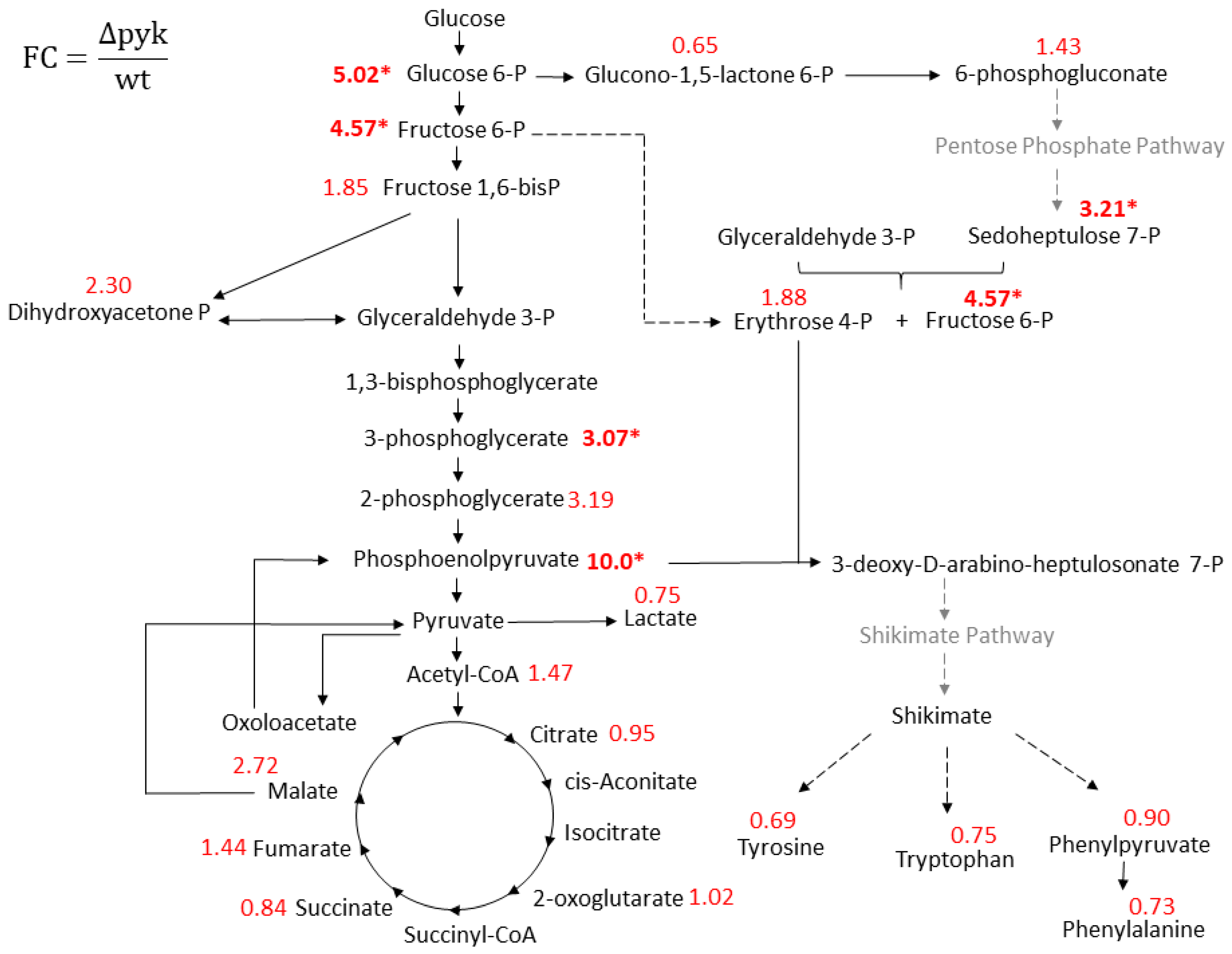 Metabolites 09 00216 g003 Metabolites 09 00216 g003