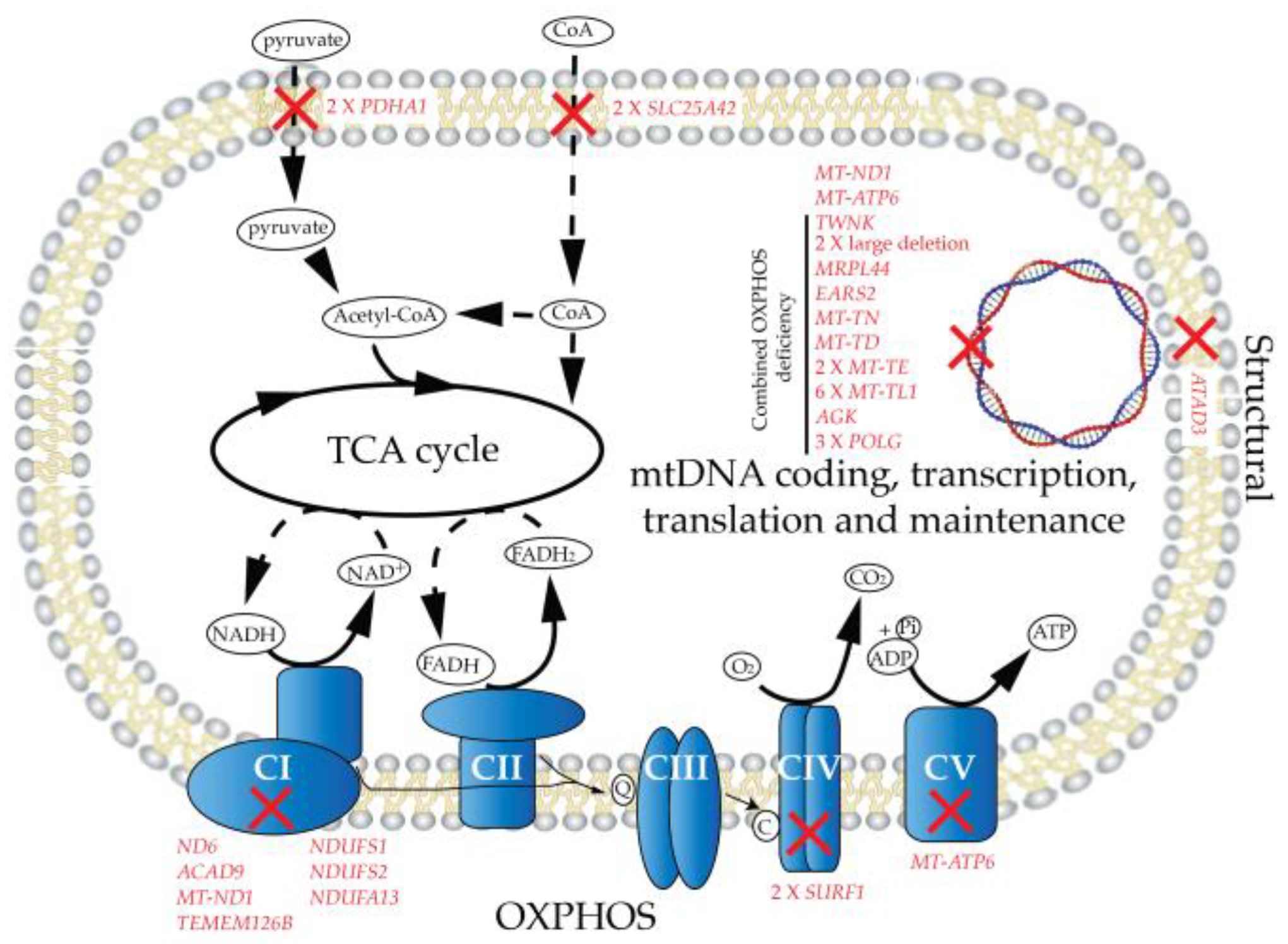 Metabolites 09 00220 g001