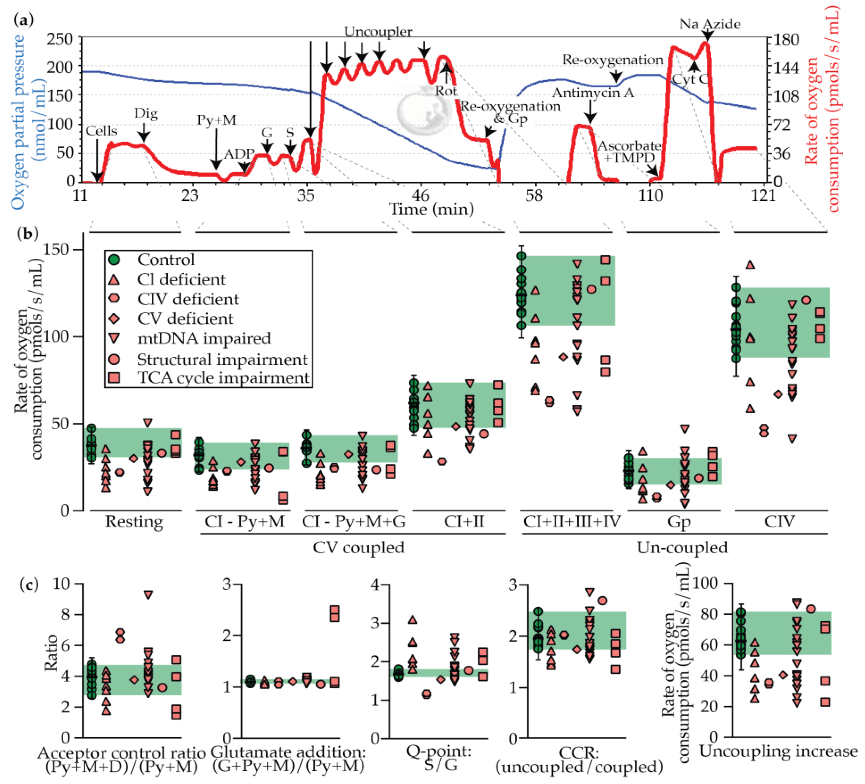 Metabolites 09 00220 g003