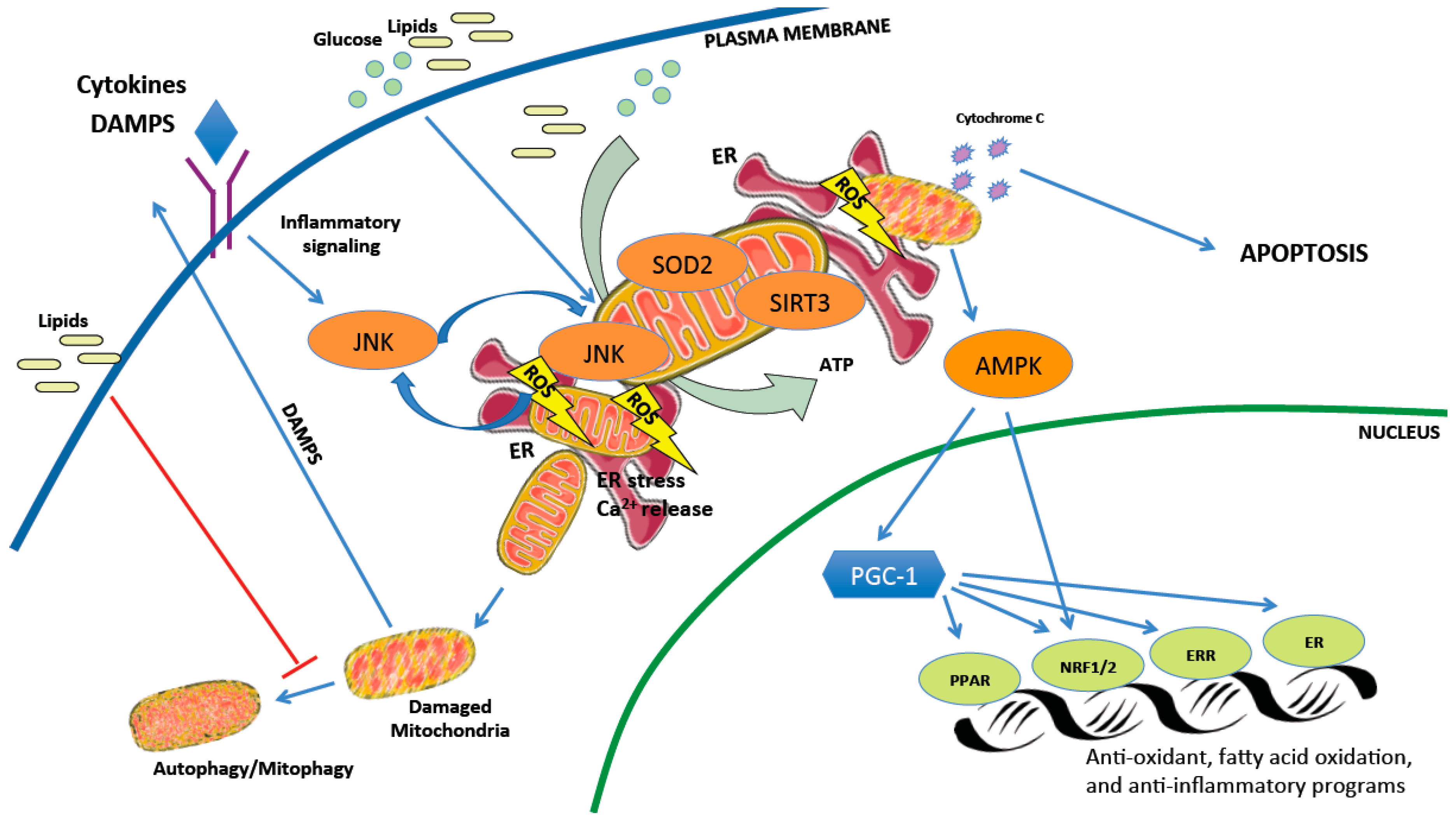 Metabolites 09 00233 g002