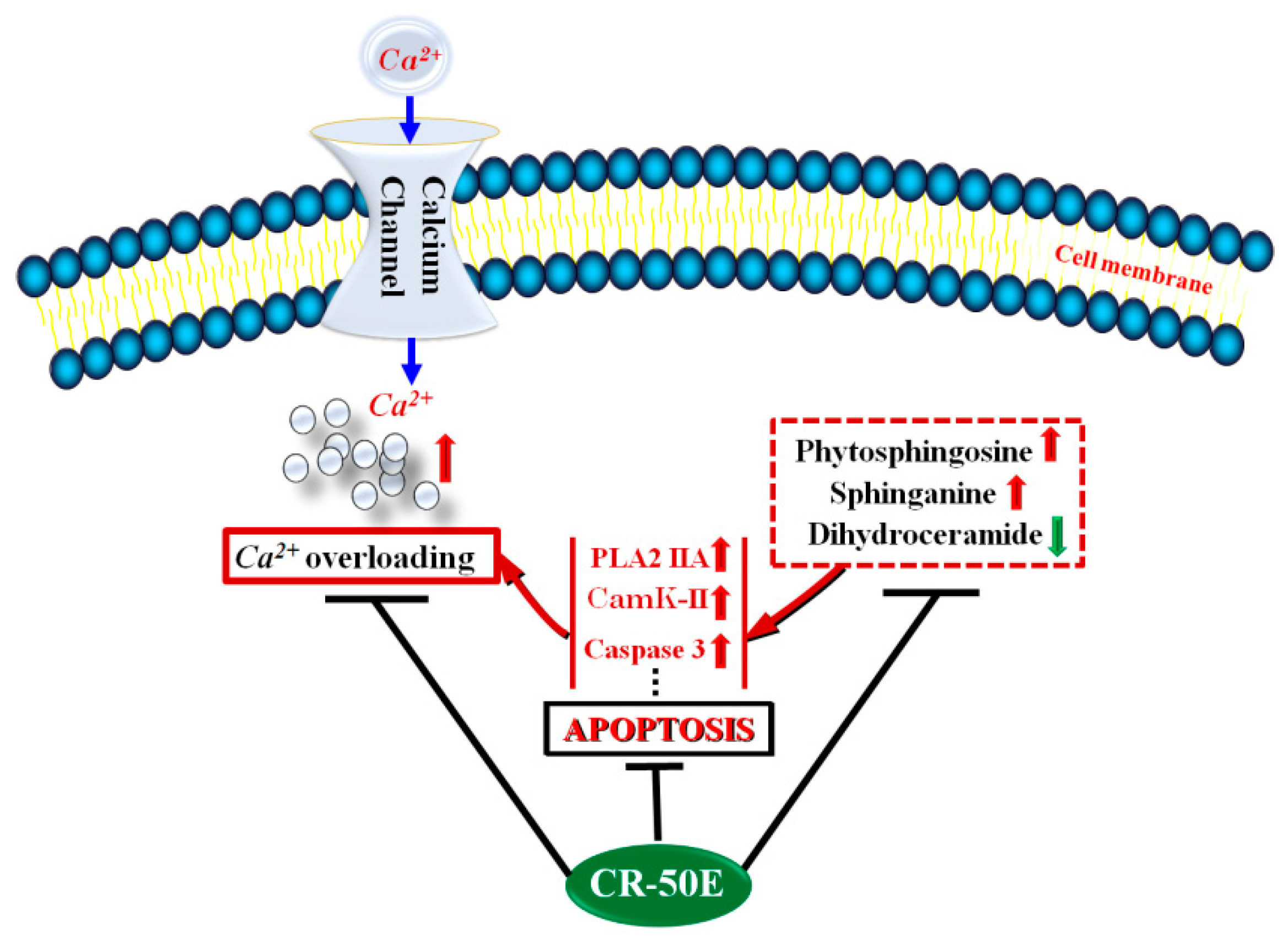 Metabolites 09 00244 g005