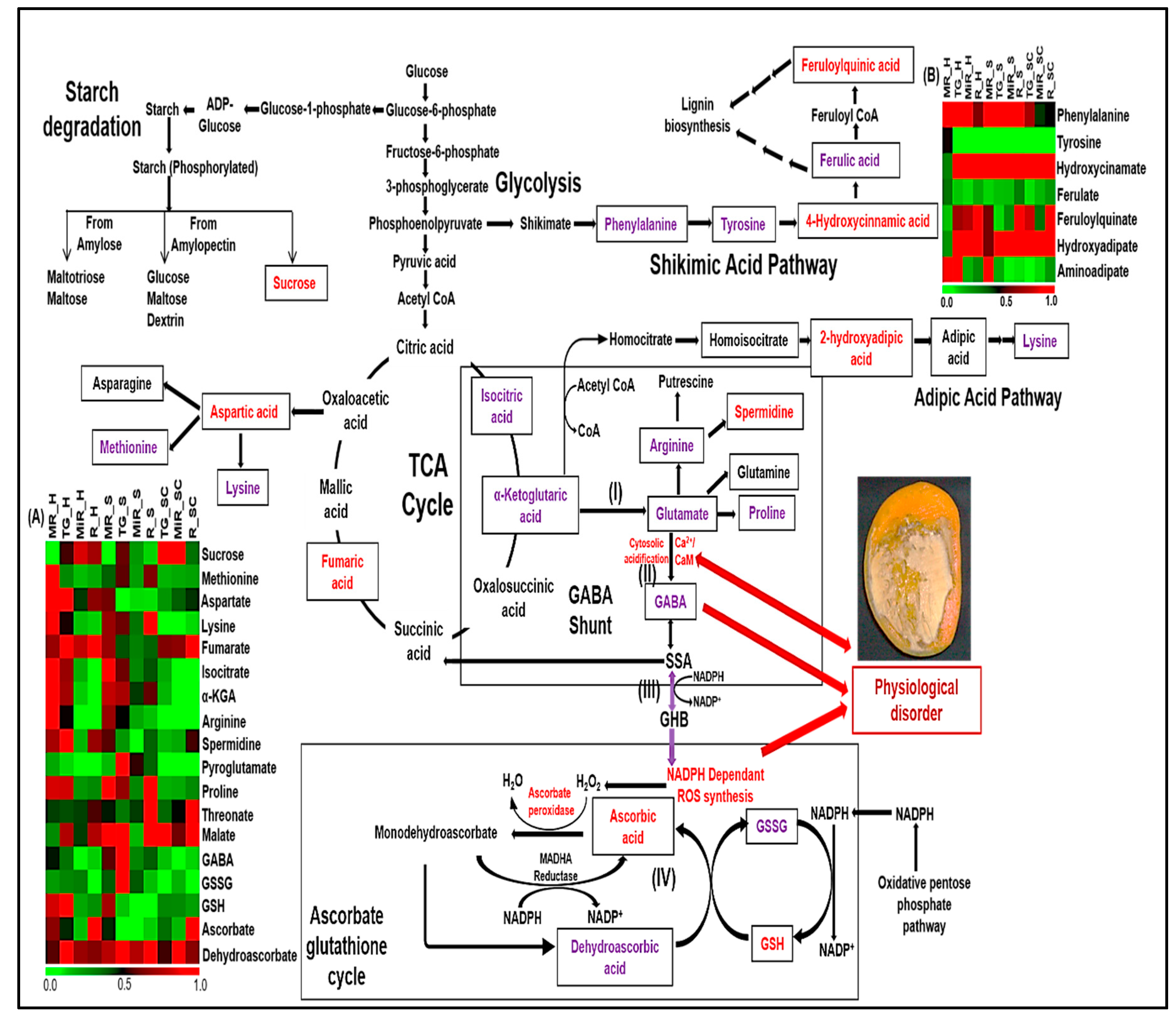 Metabolites 09 00255 g007 Metabolites 09 00255 g007