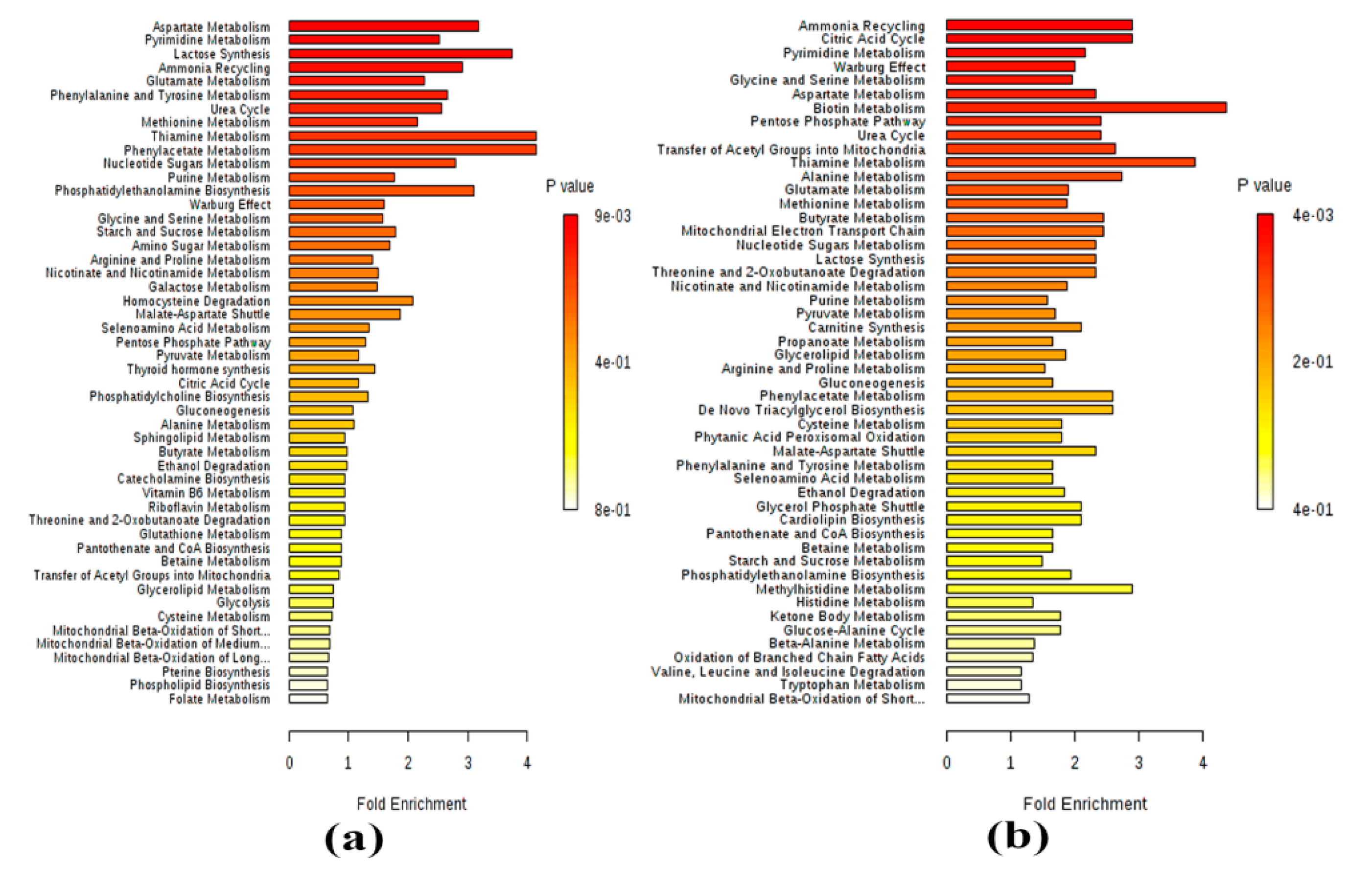 Metabolites 09 00260 g004