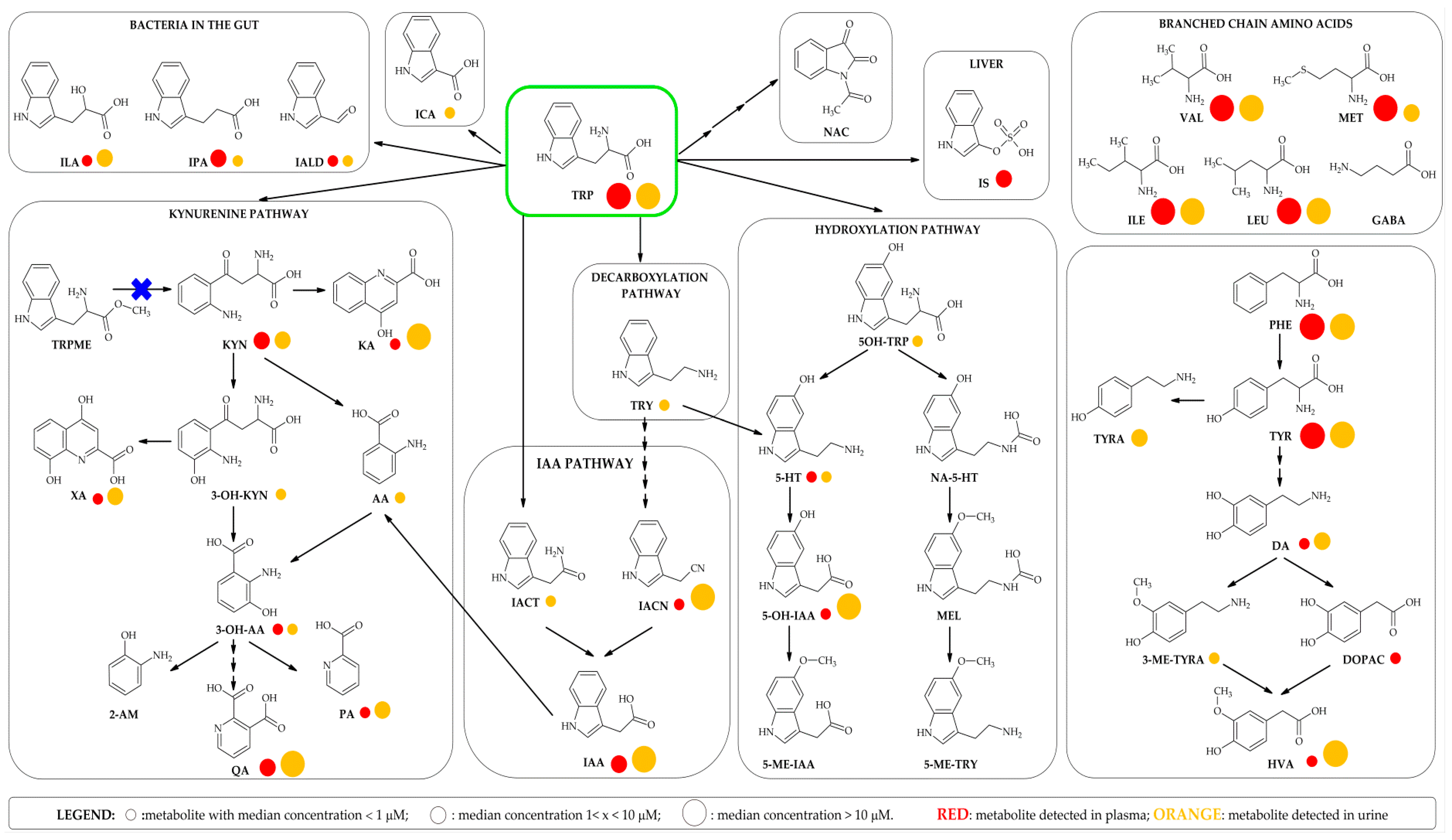 Metabolites 09 00261 g001 Metabolites 09 00261 g001