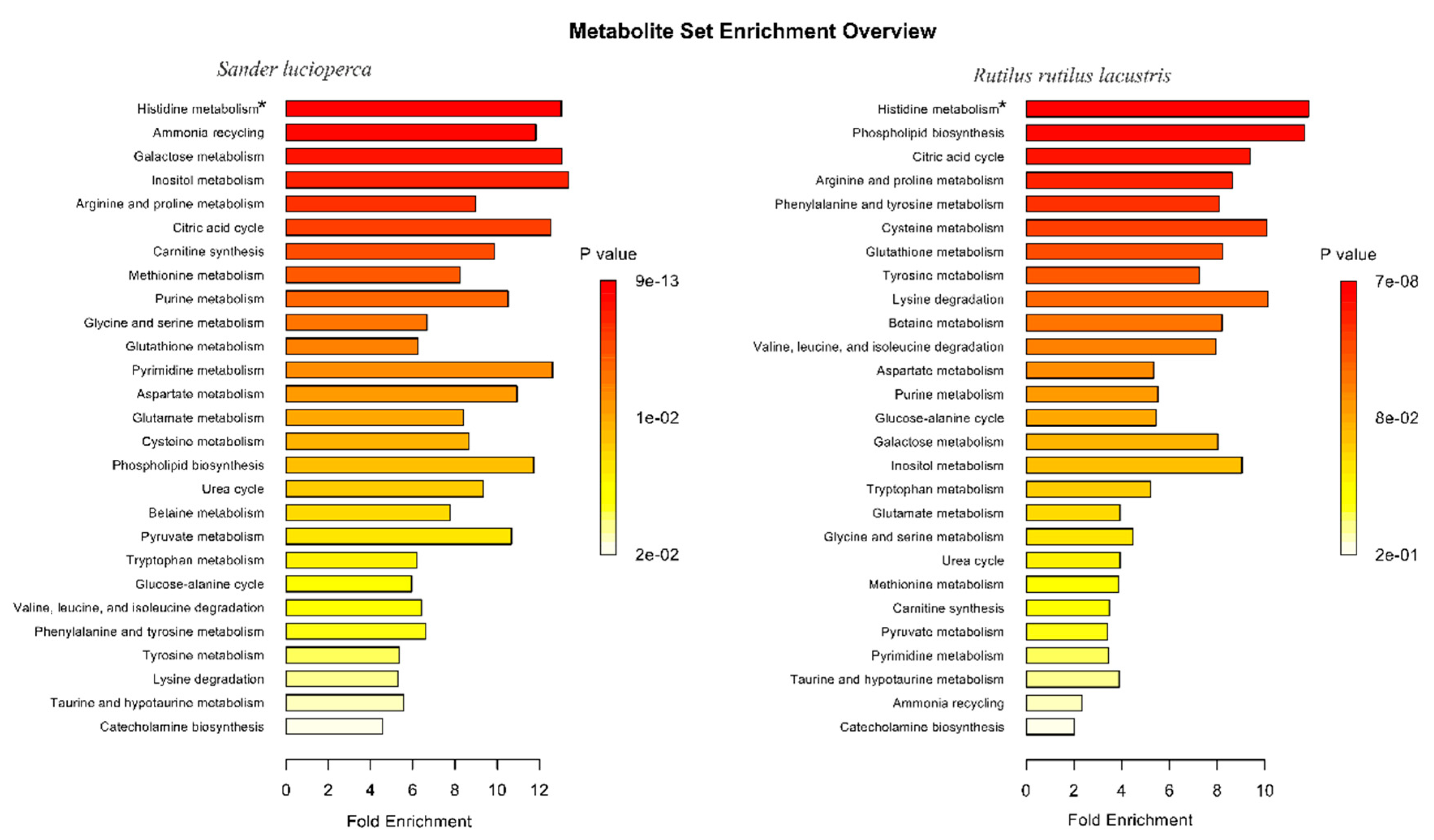 Metabolites 09 00264 g006 Metabolites 09 00264 g006