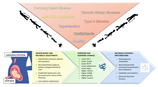 Frontiers  Hemodynamic and Metabolic Assessment of Neonates With