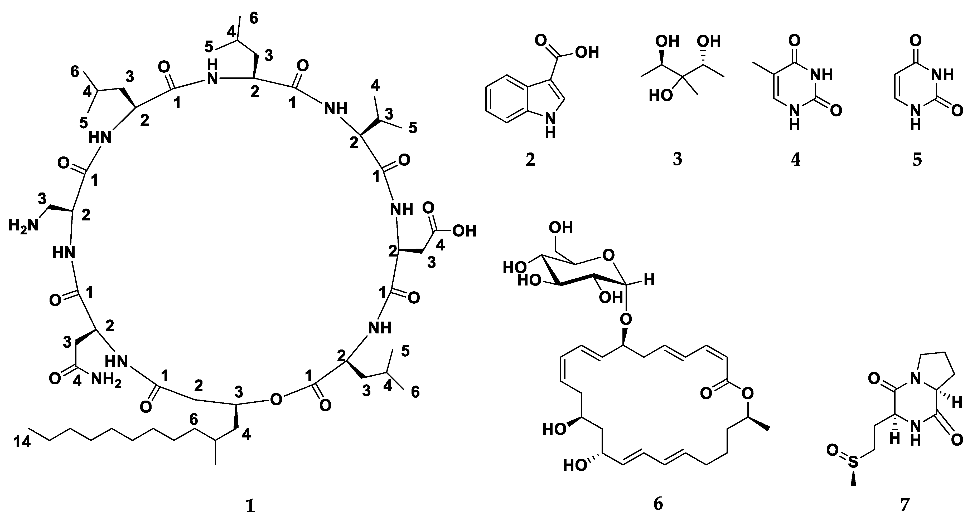Metabolites 09 00273 g001