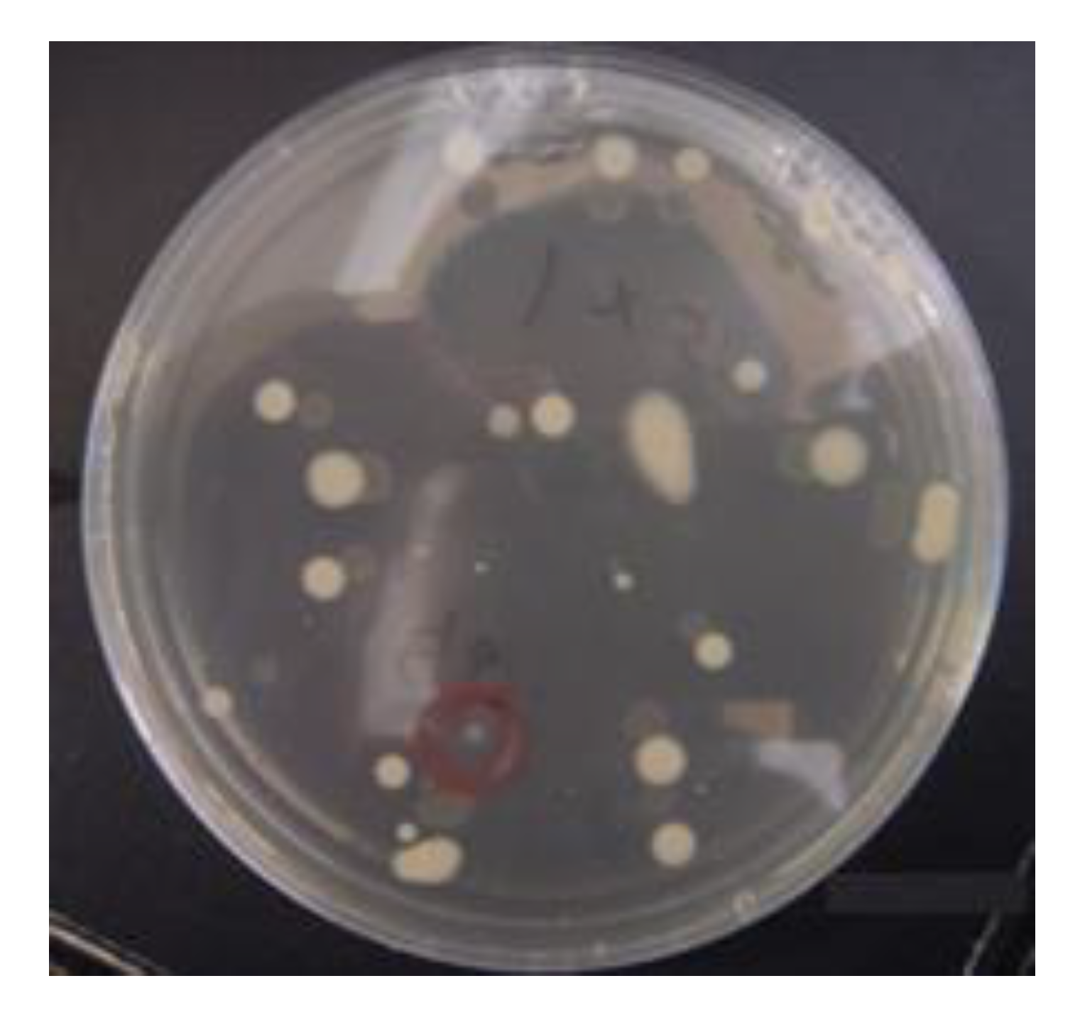 Metabolites 09 00273 g003