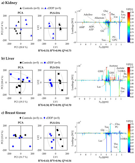 Metabolites Free Full Text Multi Organ Nmr Metabolomics To Assess In Vivo Overall Metabolic Impact Of Cisplatin In Mice Html