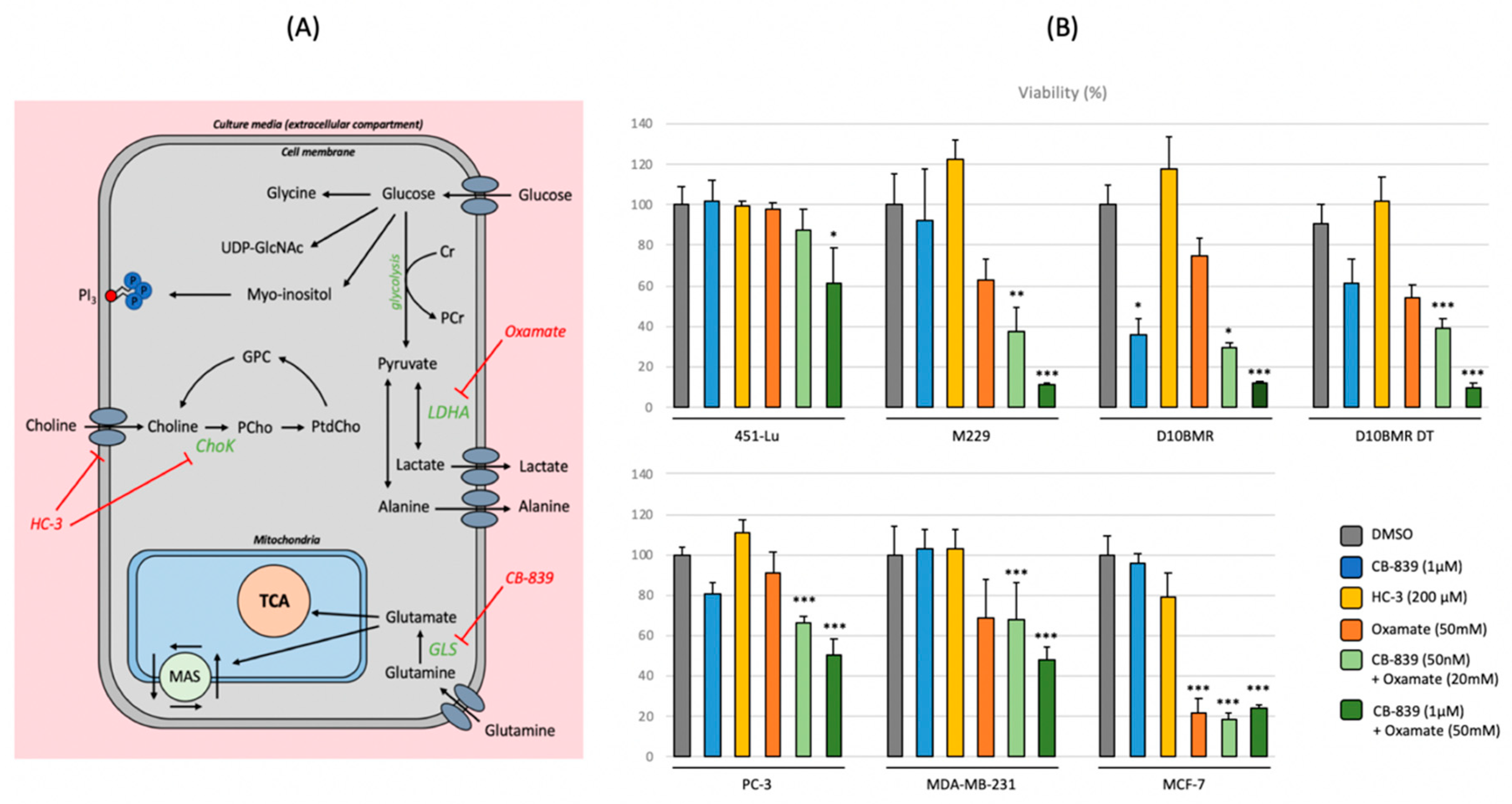 Metabolites 09 00281 g005